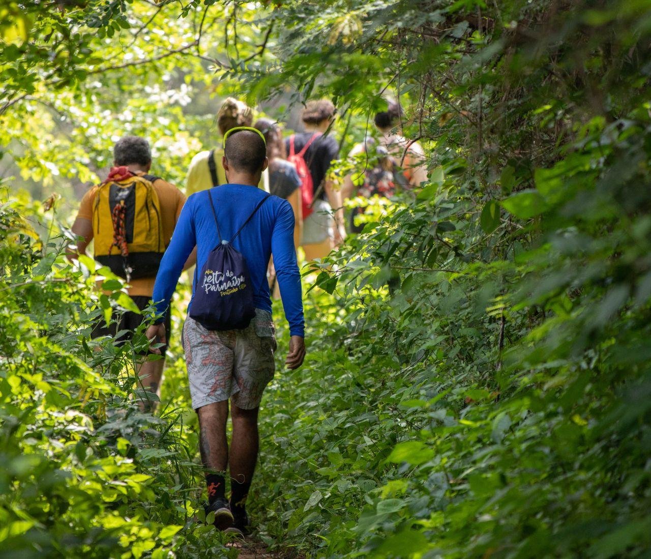 Private Tijuca Rainforest & Pedra Bonita Adventure