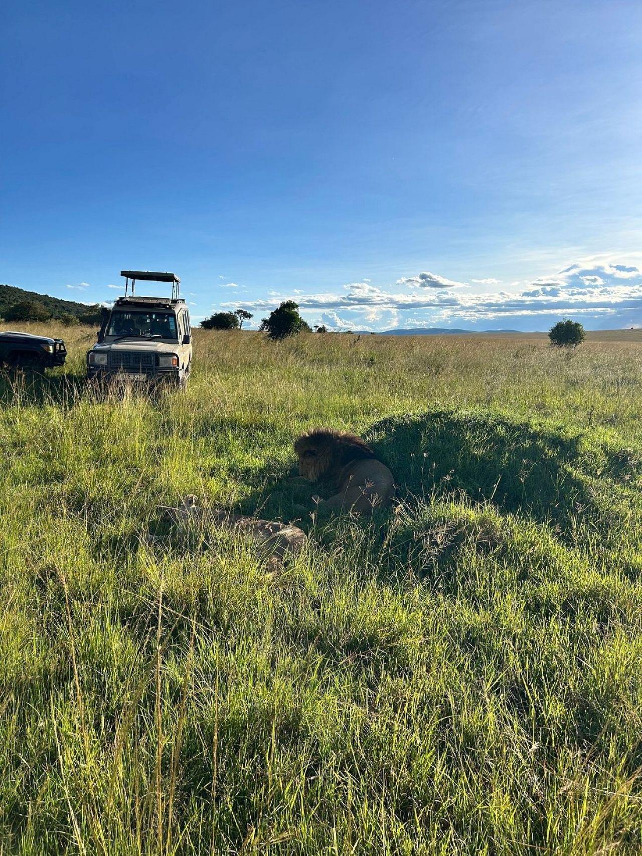 3-Day Maasai Mara Shared Jeep Safari from Nairobi