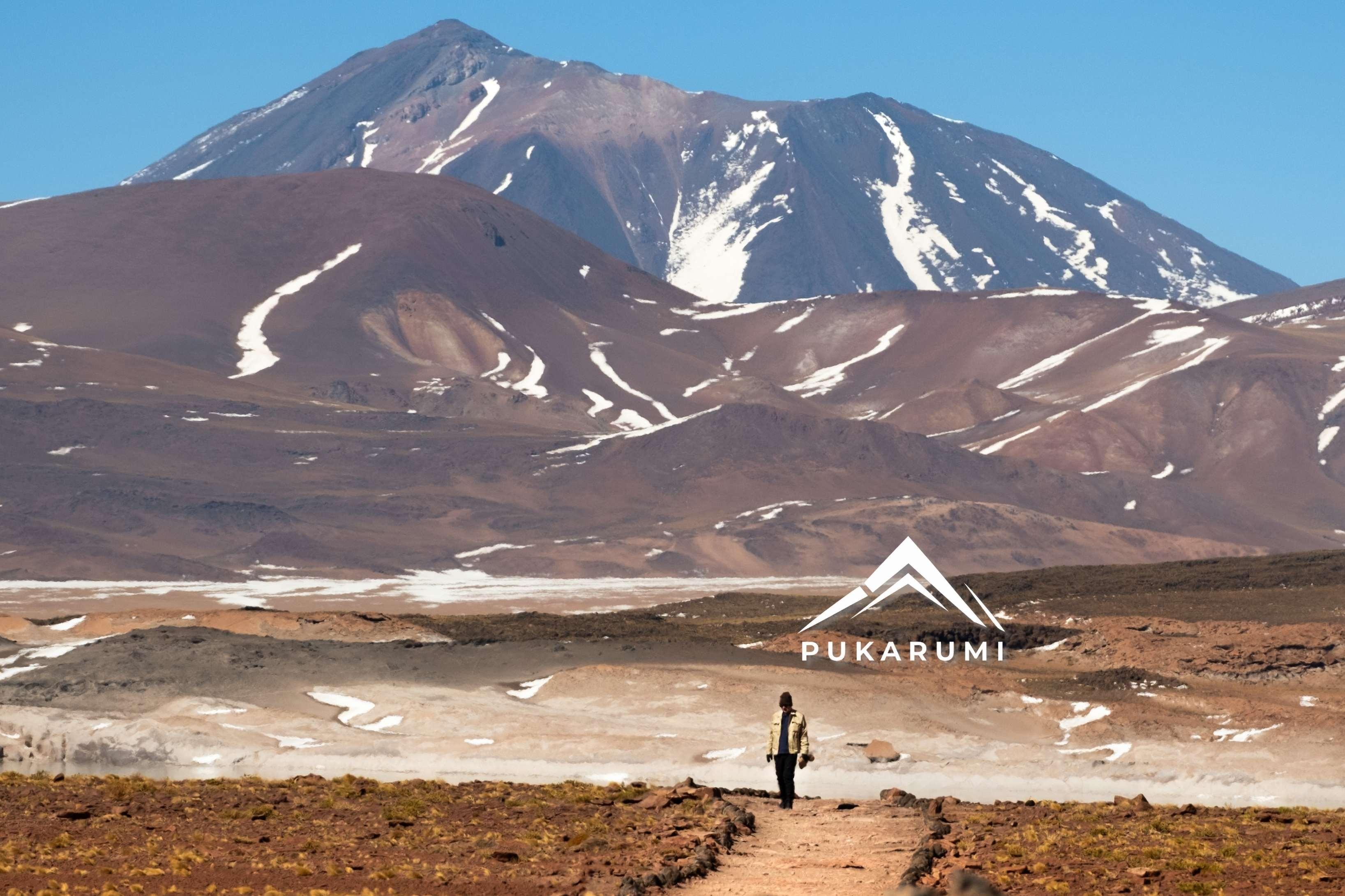 Atacama Highlands: Red Rocks & Altiplanic Lagoons Full-Day Tour