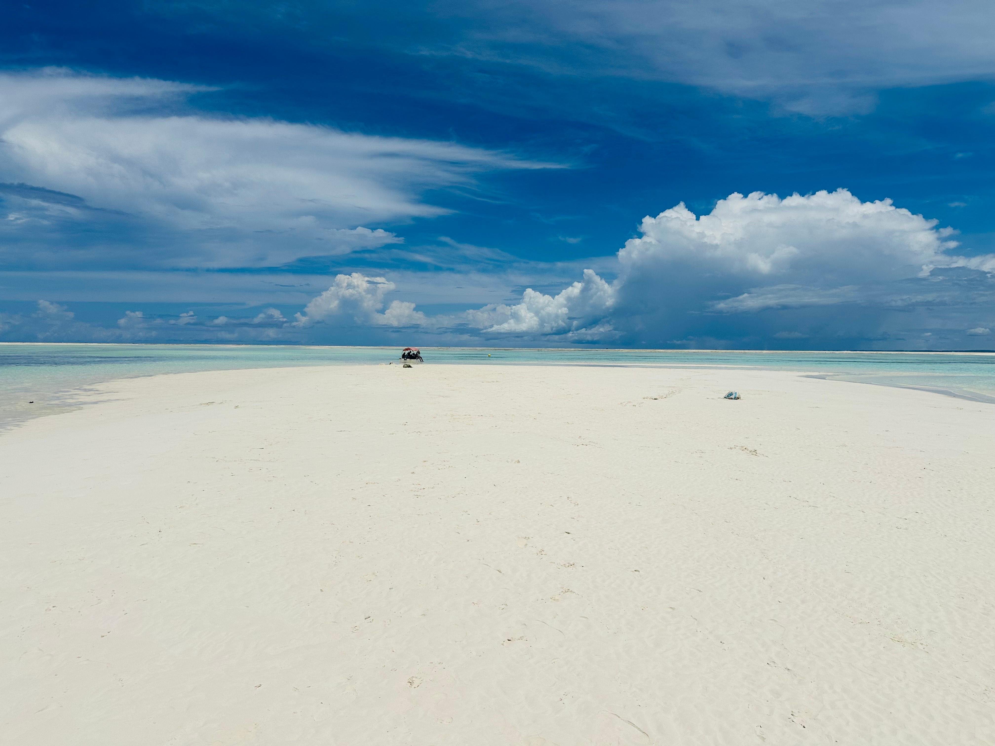 Zanzibar: Mnemba Island Dolphin Swim & Snorkel Adventure