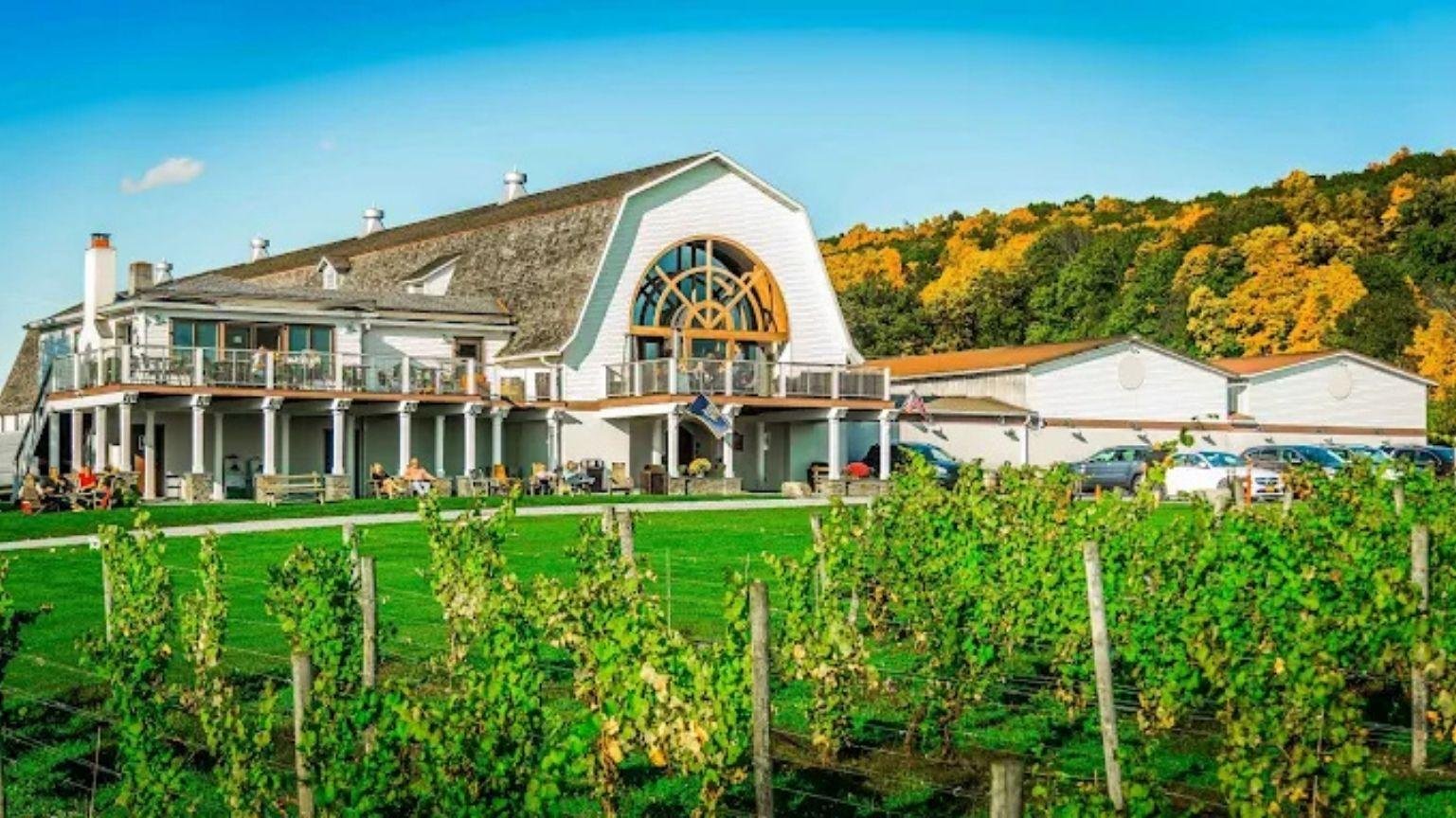 Hudson Valley Wine Experience from Manhattan