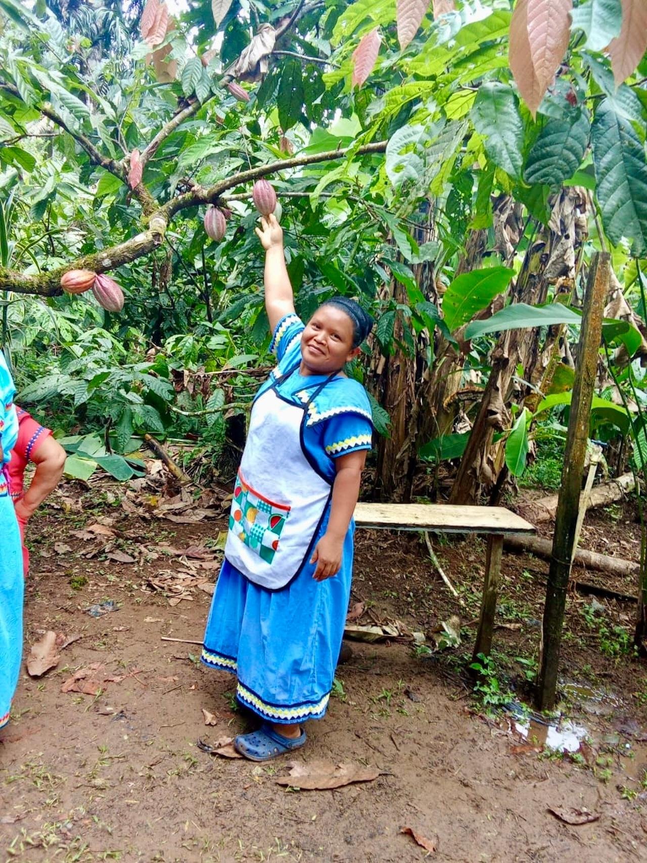 Organic Cacao Farm & Chocolate Making Tour