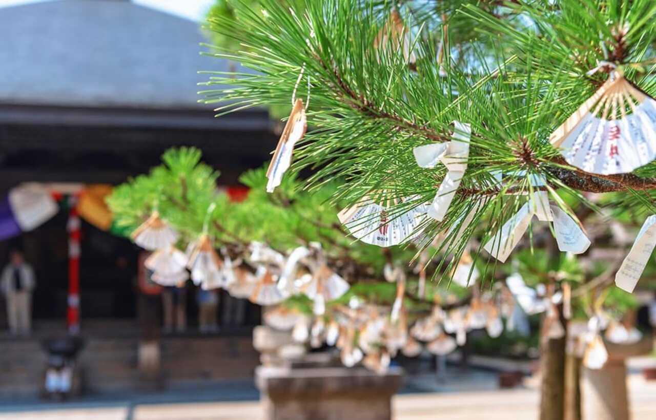 Osaka/Kyoto:Hiroshima Tour on Luxury vehicle with Lunch