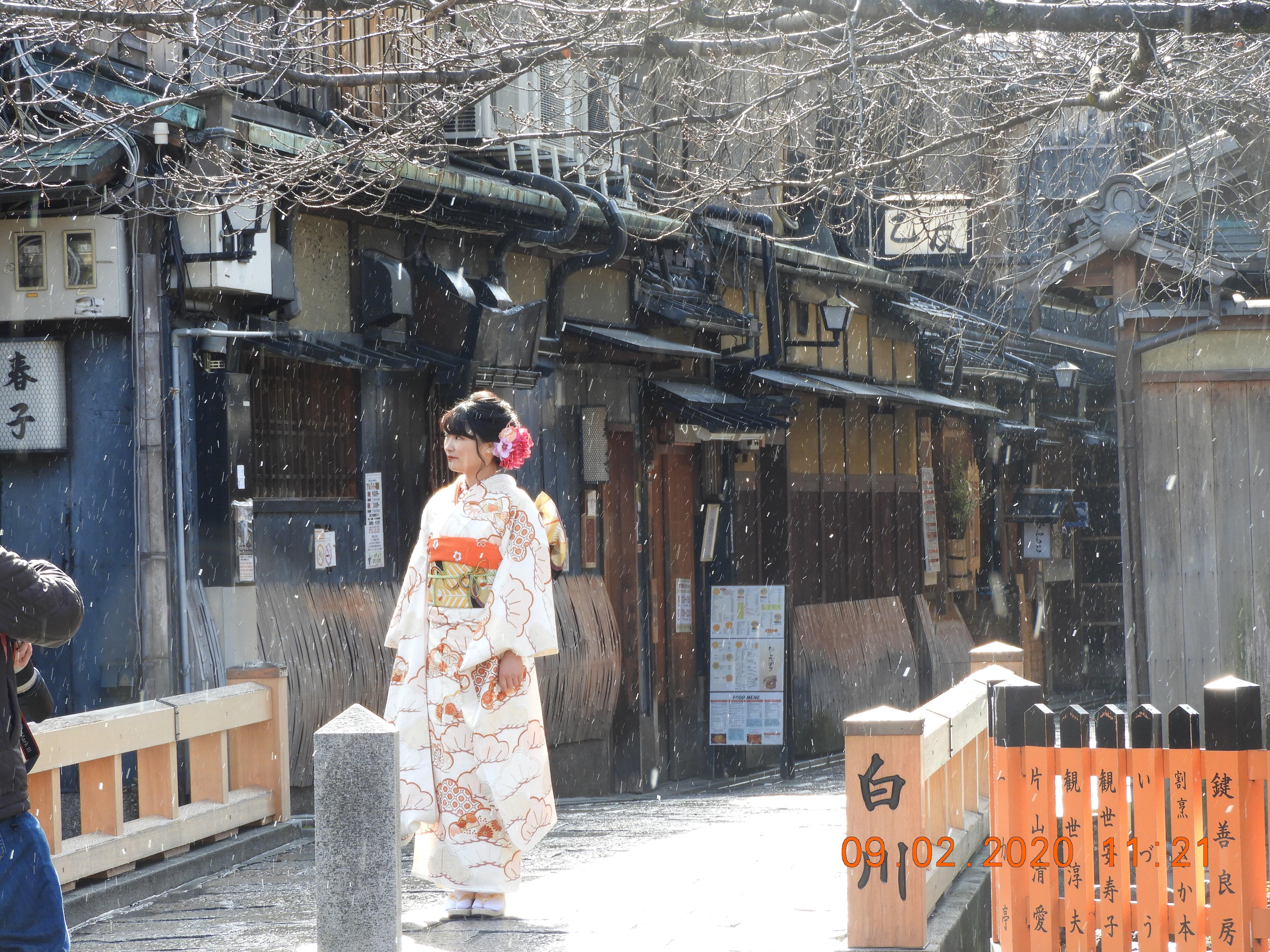 Kioton yksityinen kävelykierros: Gion ja historialliset geisha-alueet