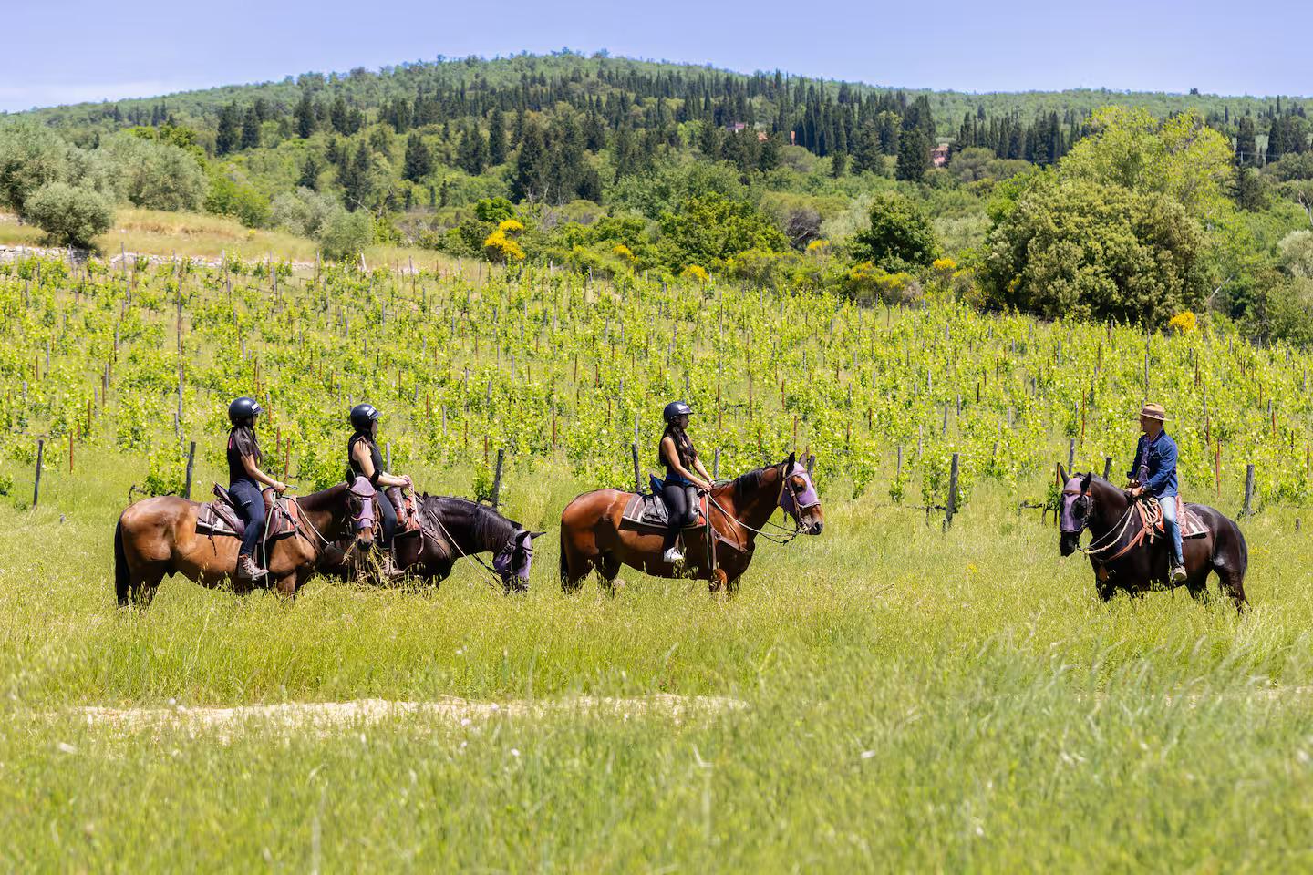 Tuscan Horseback Adventure with Estate Wine Tasting
