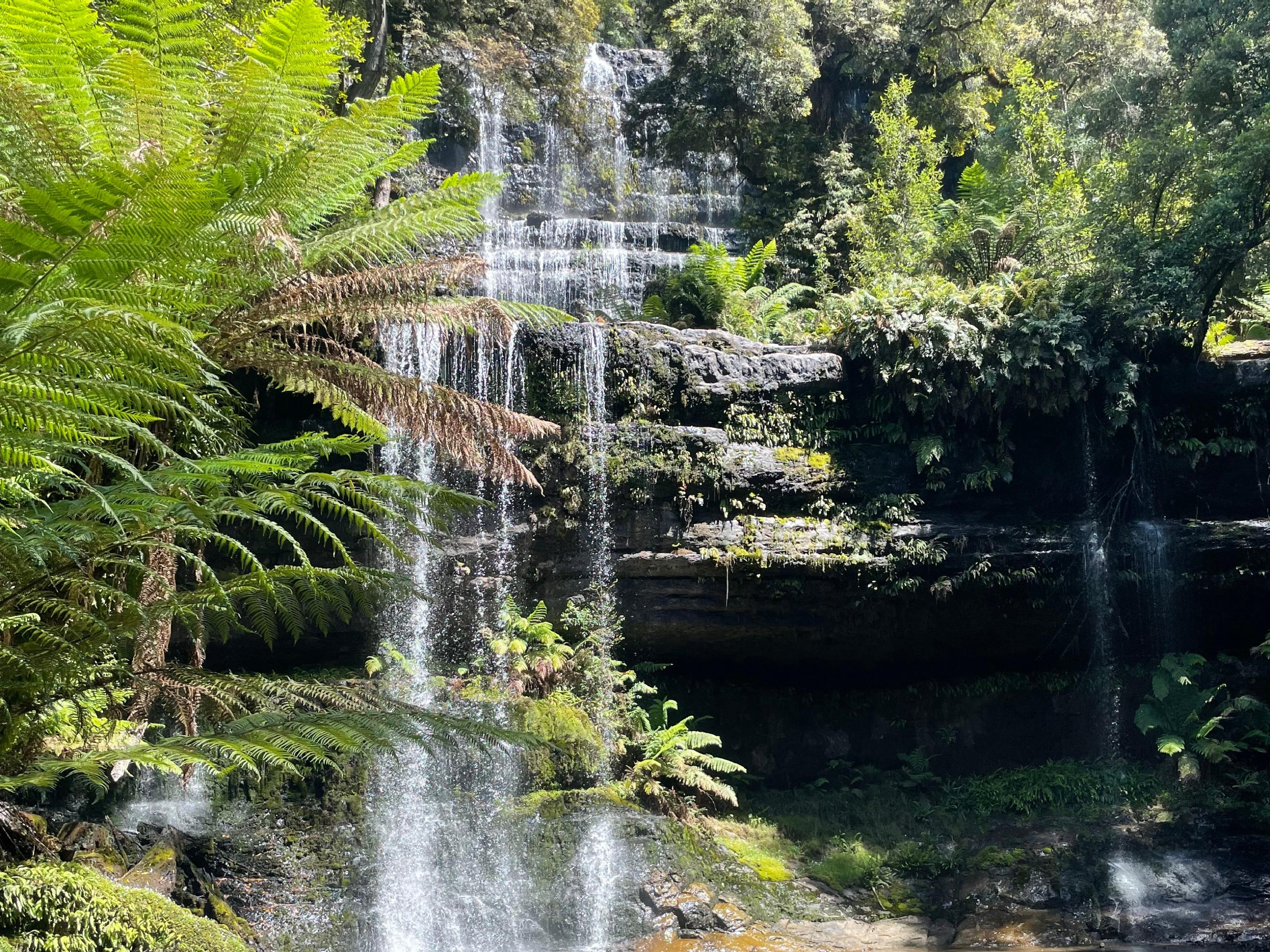 Russell Falls & Mount Field National Park Private Tour