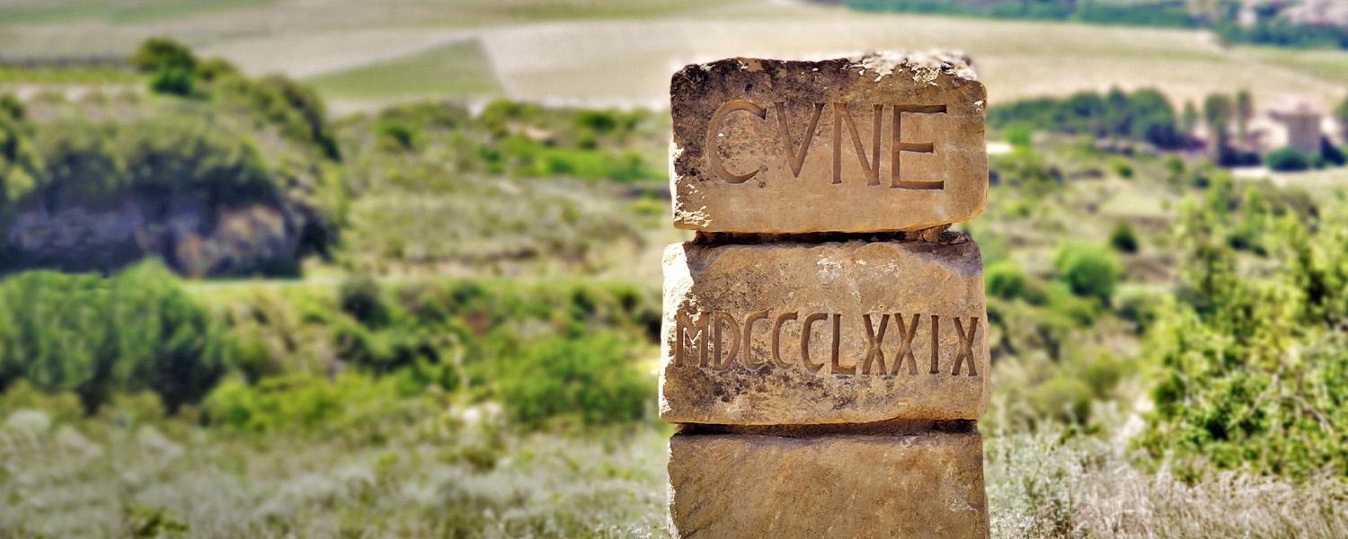 Rioja wine tour from Bilbao, Haro and Laguardia wineries — image 1
