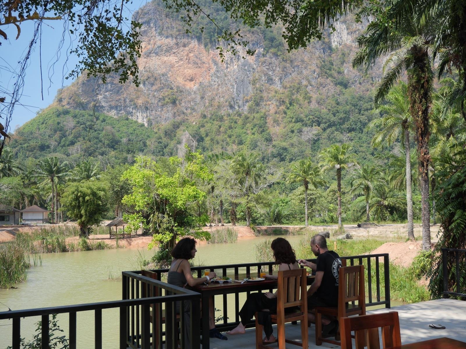 Krabi Ethical Elephant Sanctuary: Observe, Feed & Walk (No Touching)