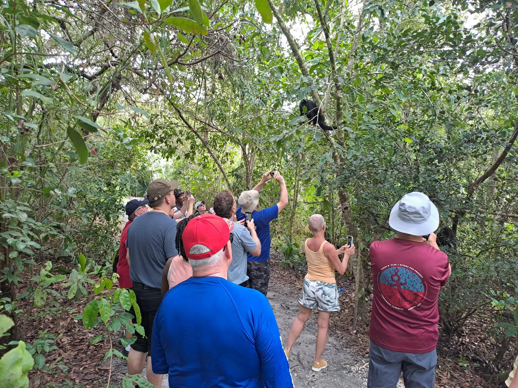 Black Howler Monkey Rainforest Experience