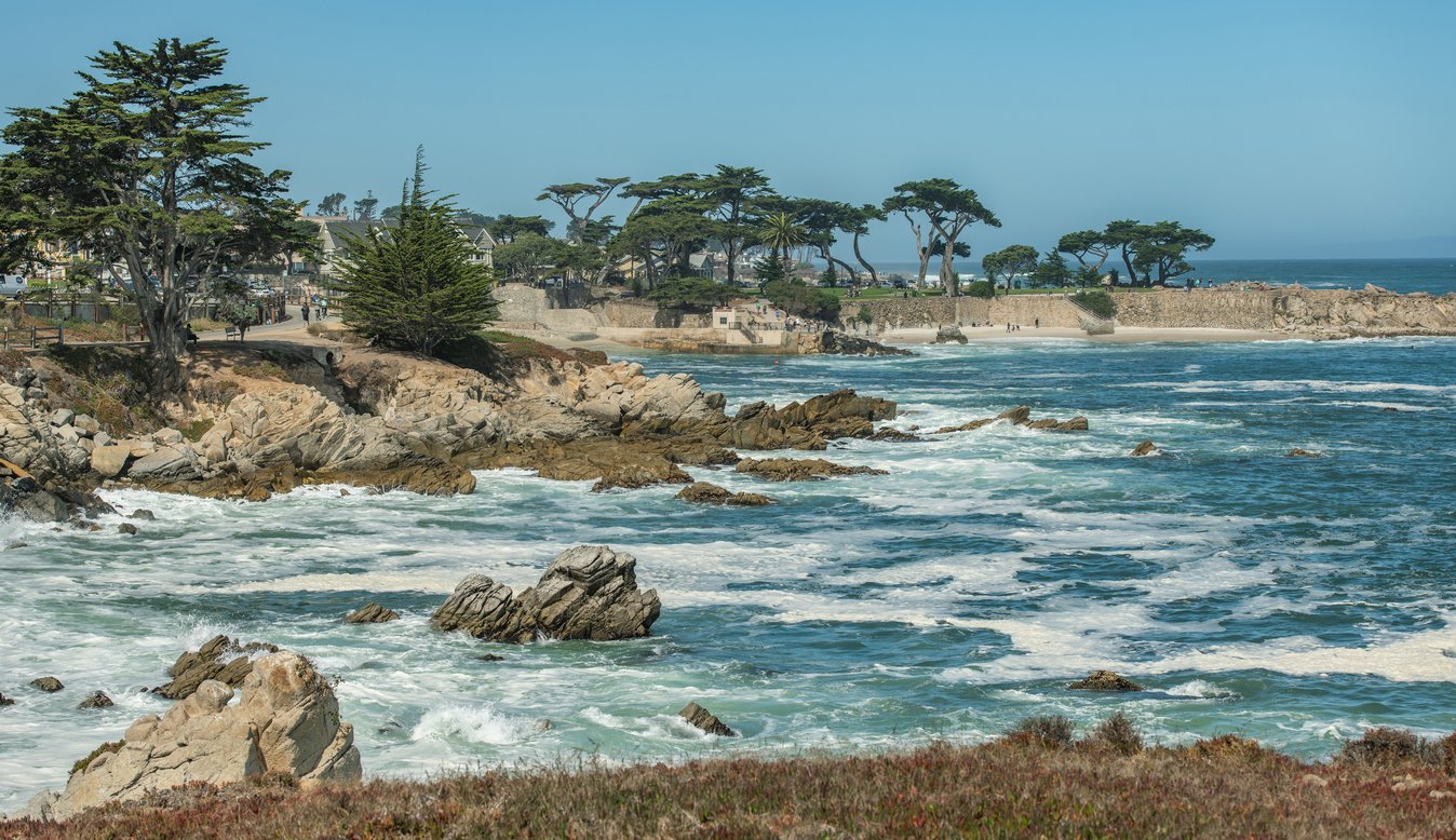 Monterey Peninsula & 17-Mile Drive Coastal Tour