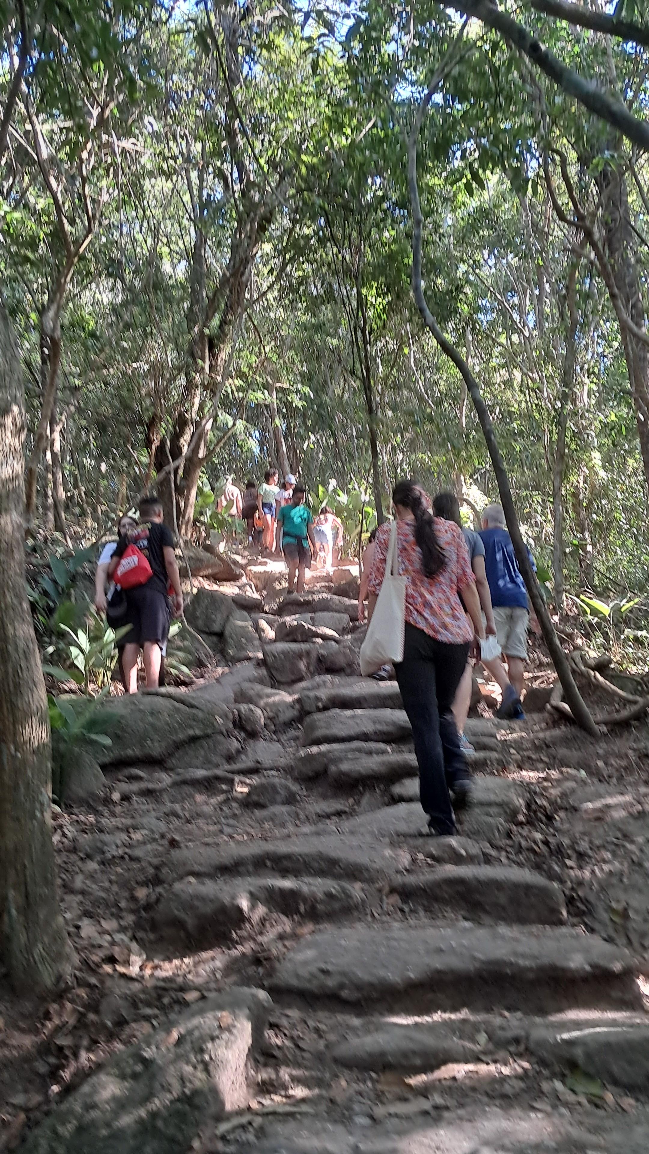 Private Customized Rio de Janeiro City Tour