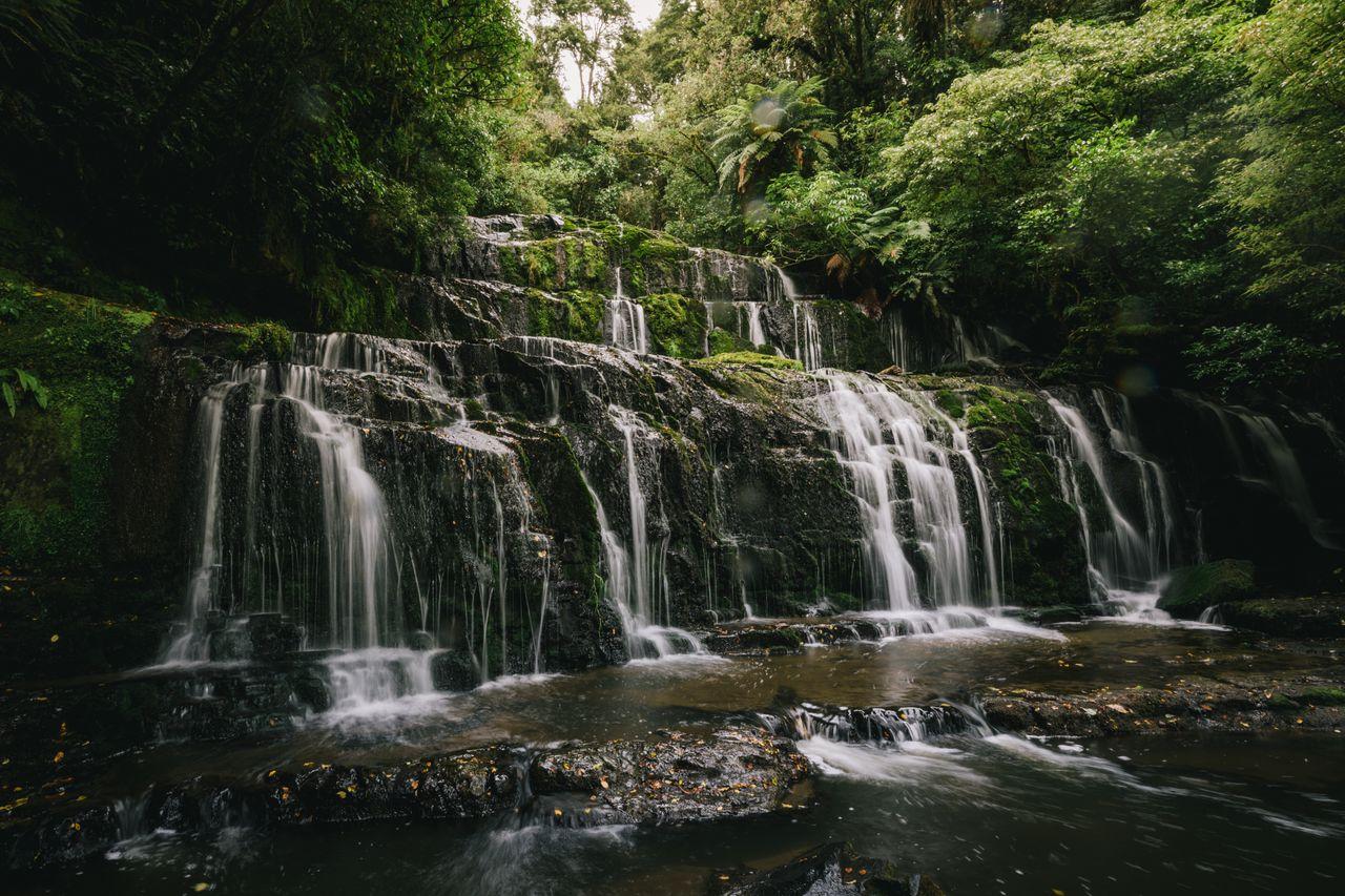 Invercargill to Dunedin via the Catlins One Way Tour