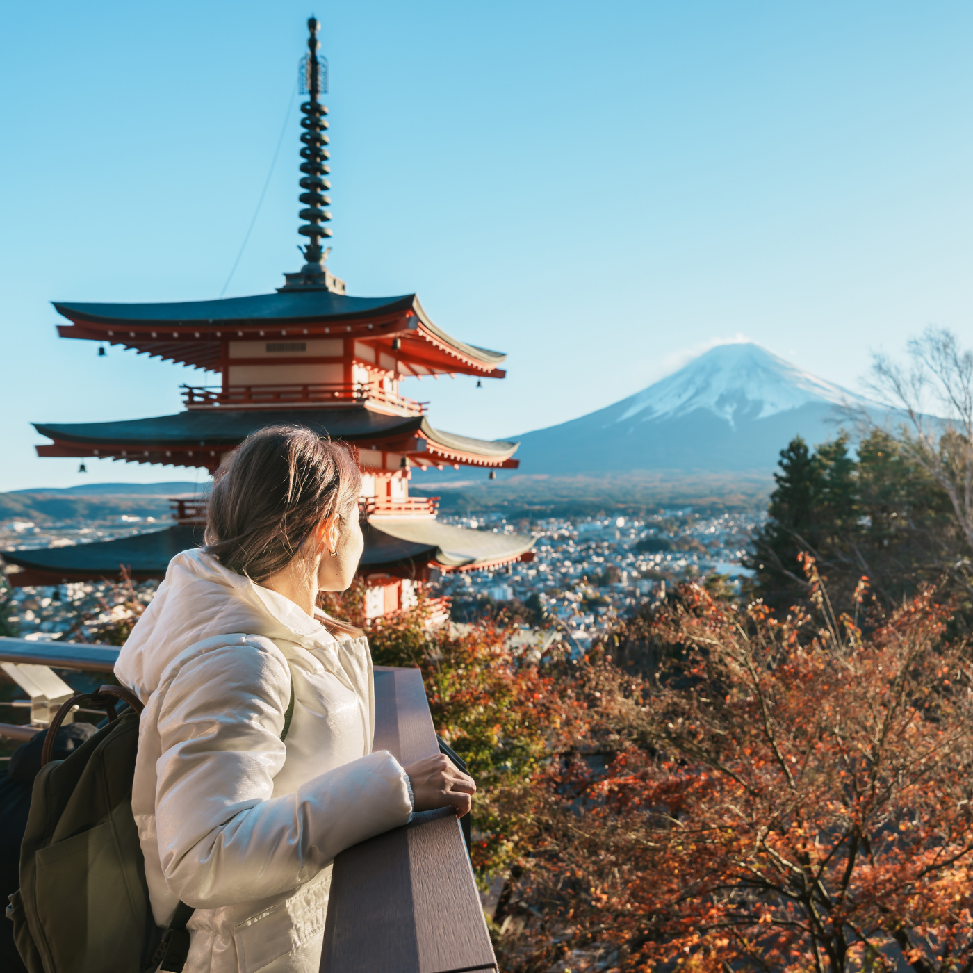 Private Mount Fuji & Hakone Day Tour from Tokyo