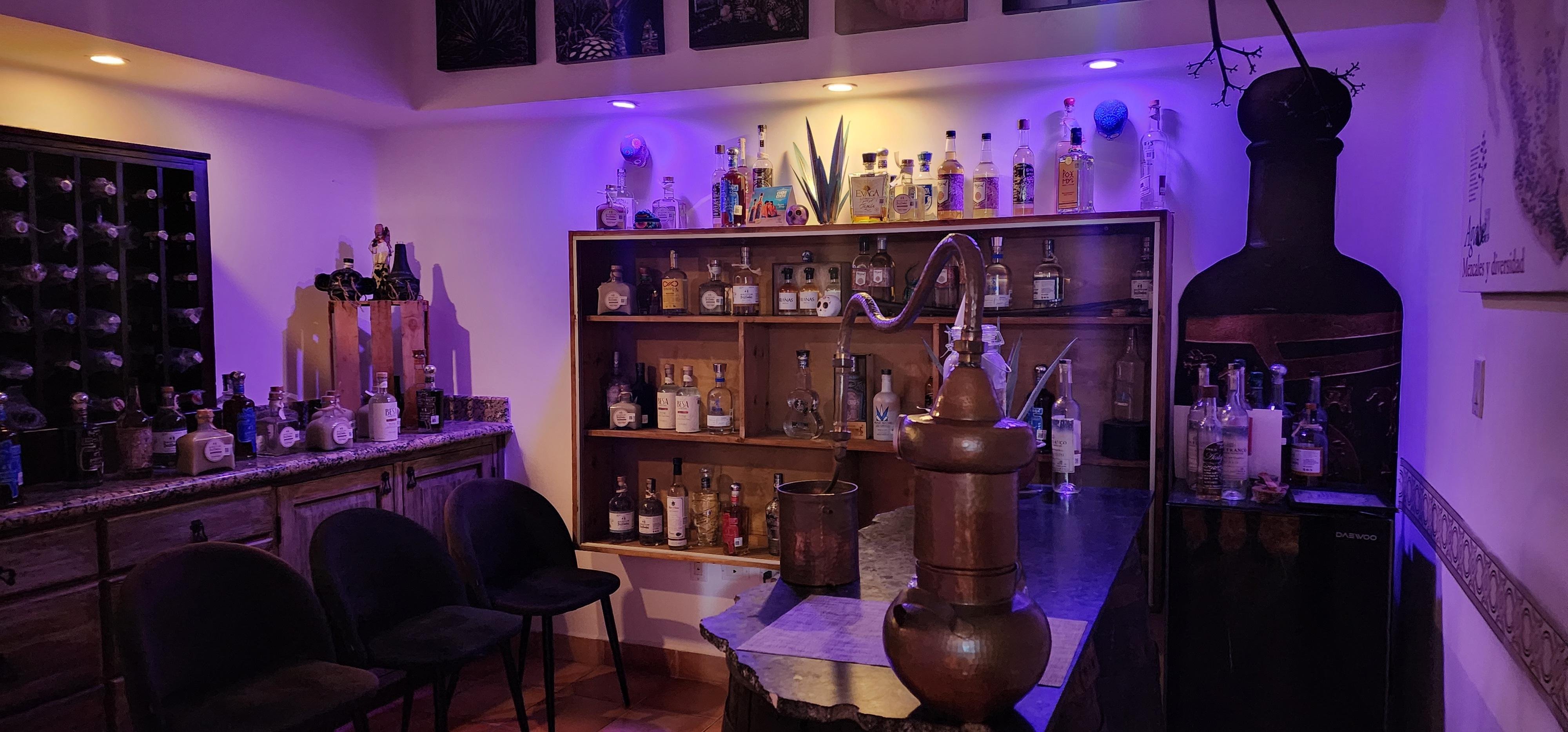 tequila tour in Los Cabos — photo 13