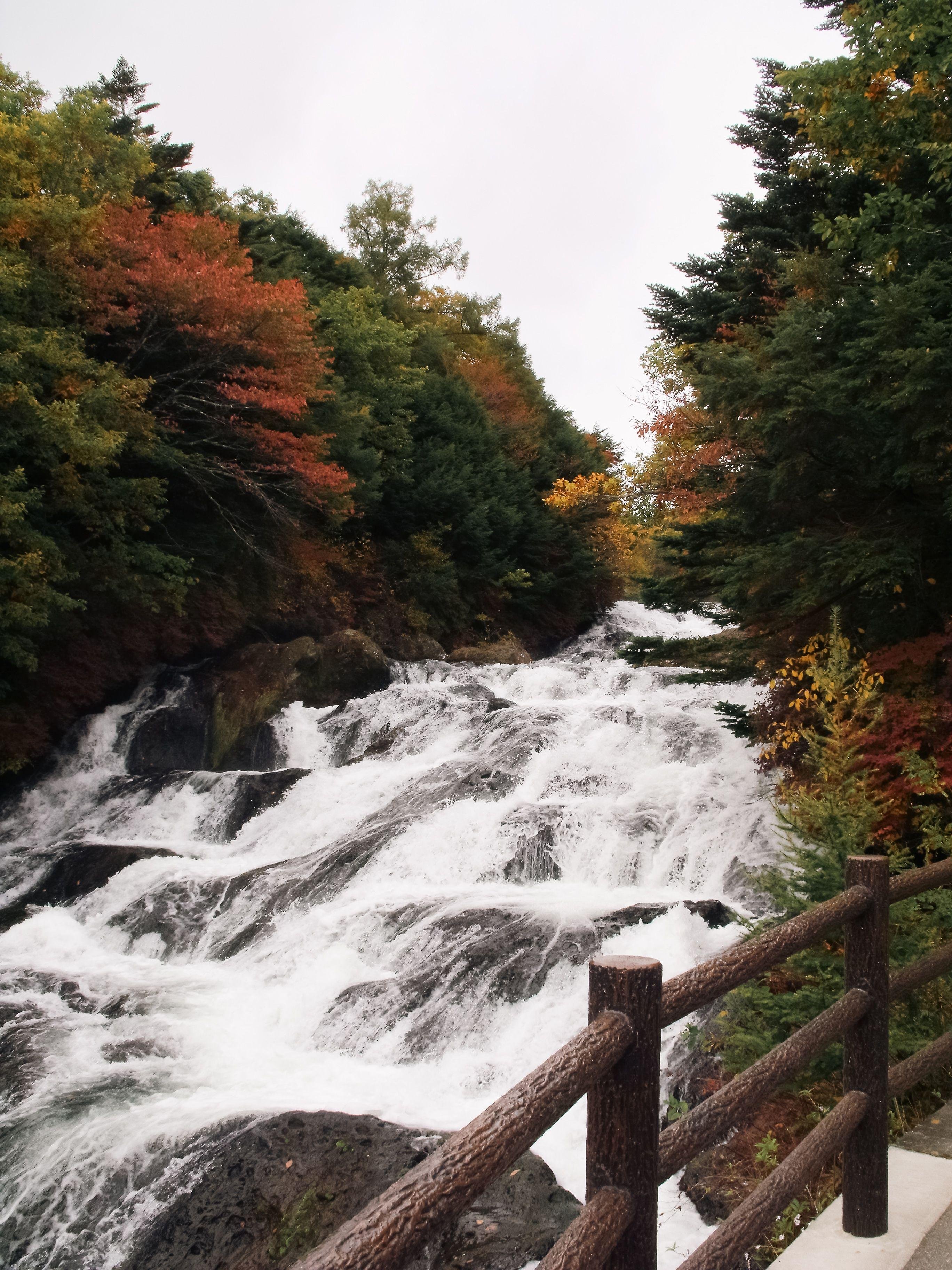Private Hirosaki & Oirase Gorge Day Tour from Aomori