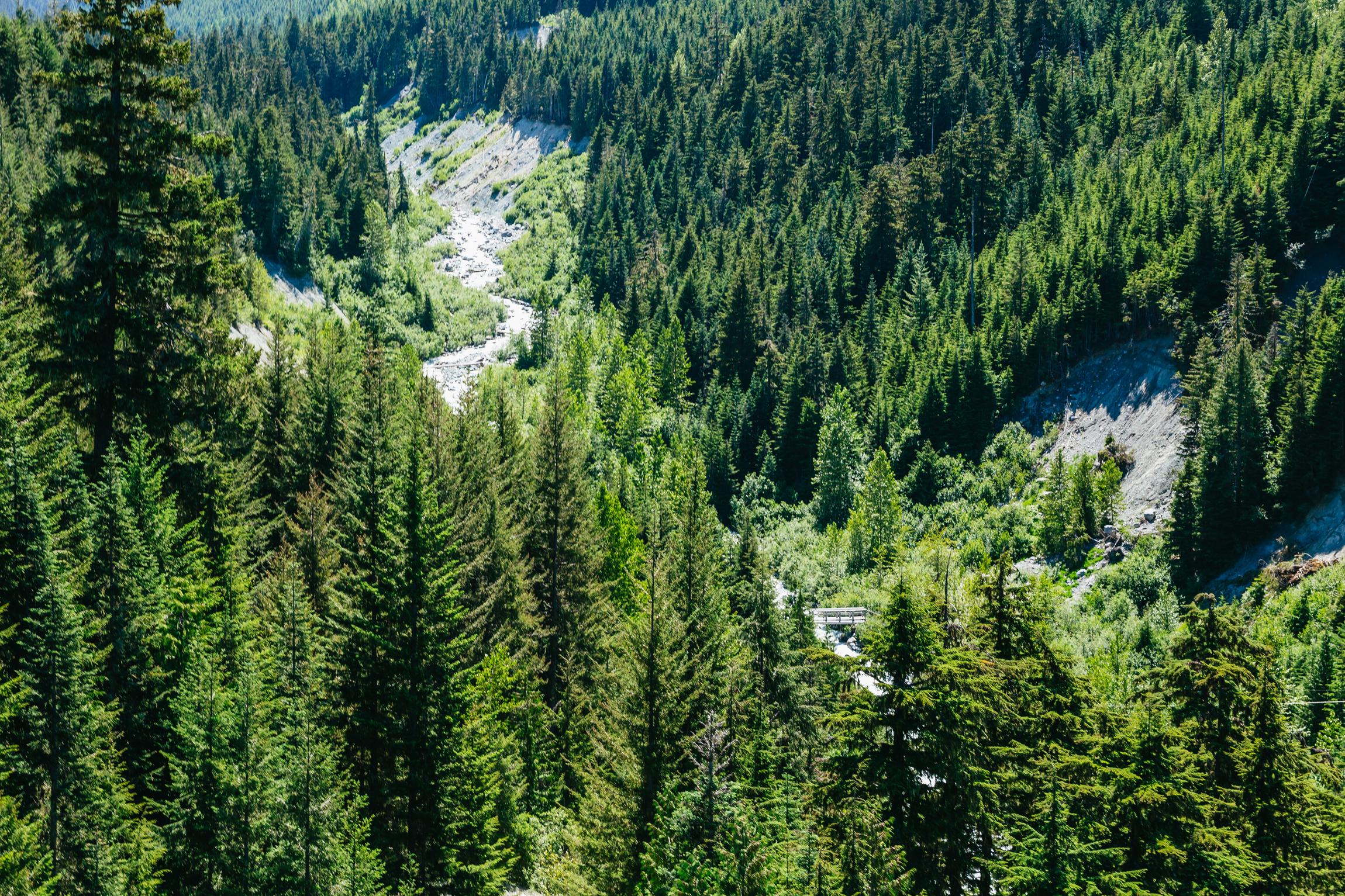 Whistler zipline experience with Ziptrek — flying across the Fitzsimmons Valley, British Columbia — image 10