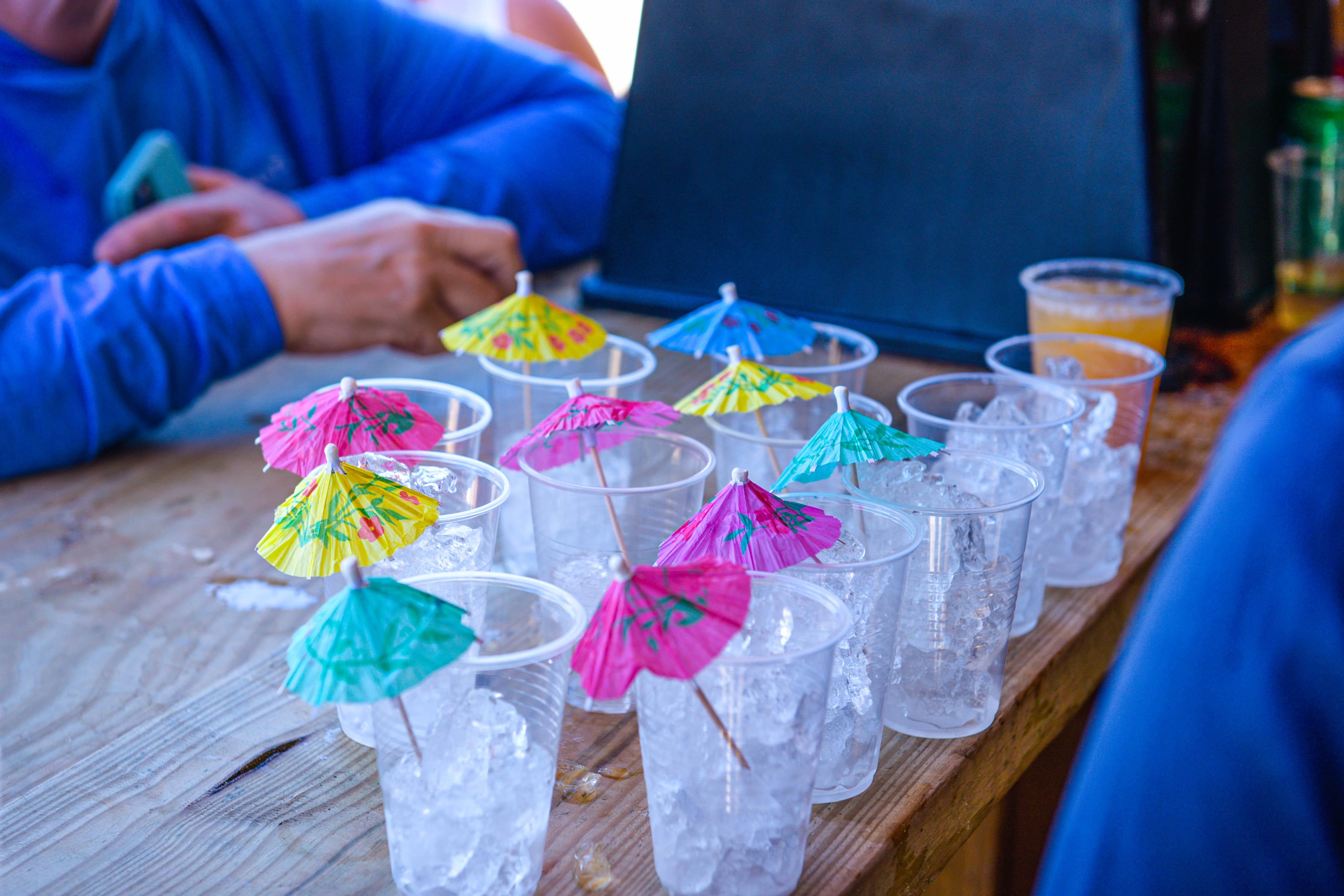 Nassau 3-Island Speedboat Adventure: Pigs, Turtles & Snorkeling