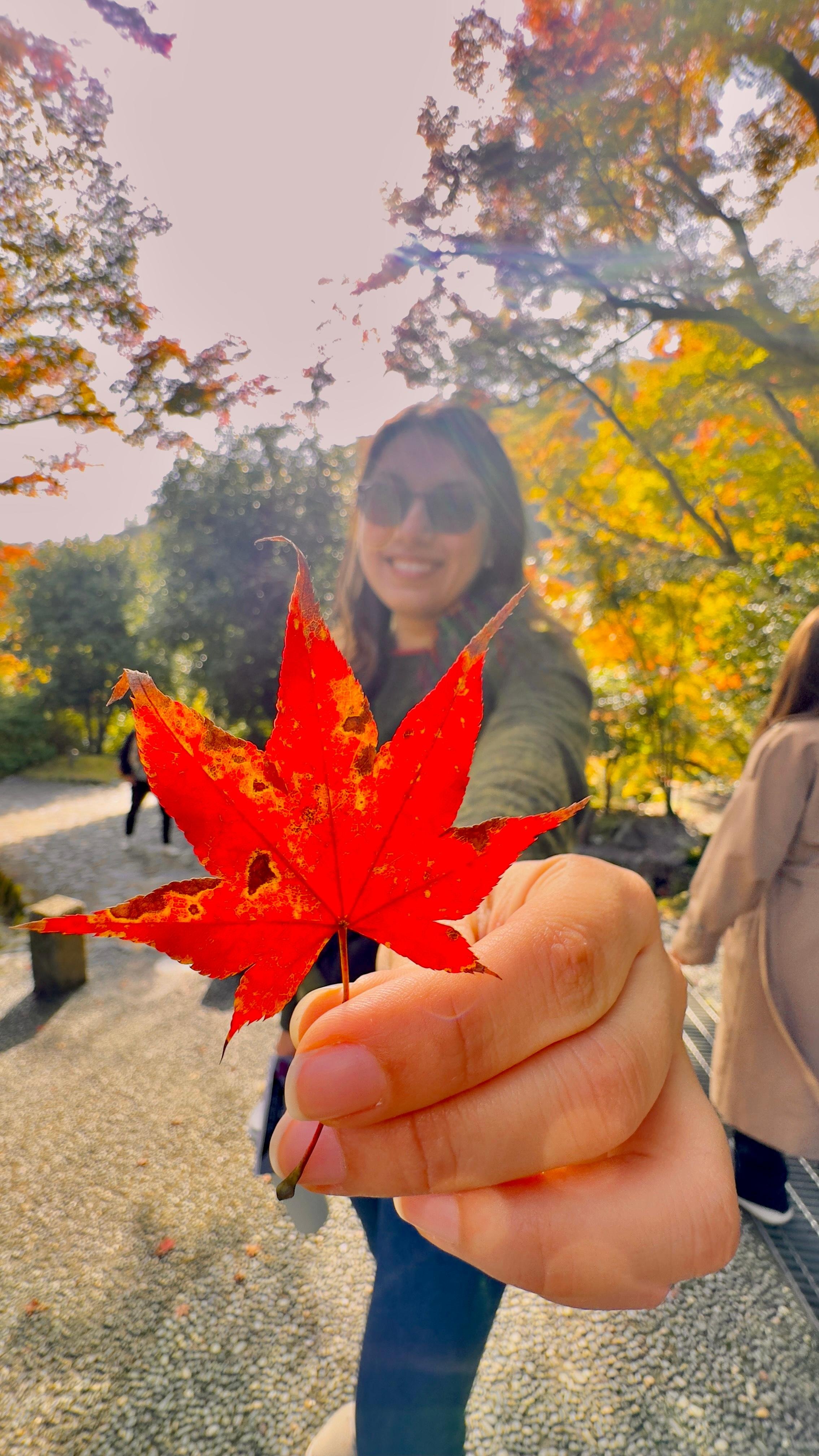Privat høydepunkts-tur i Kyoto med sjåfør og engelskspråklig guide
