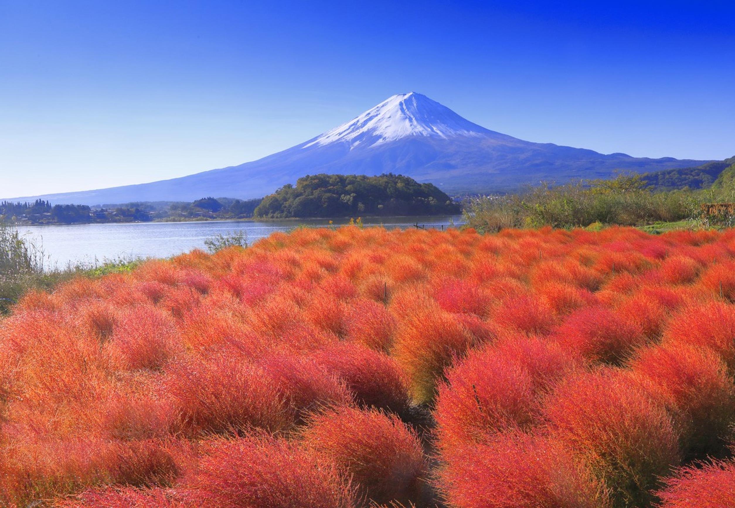 Mount Fuji Day Tour: Lake Kawaguchi, Iconic Photo Spots & Fuji-Q Highland