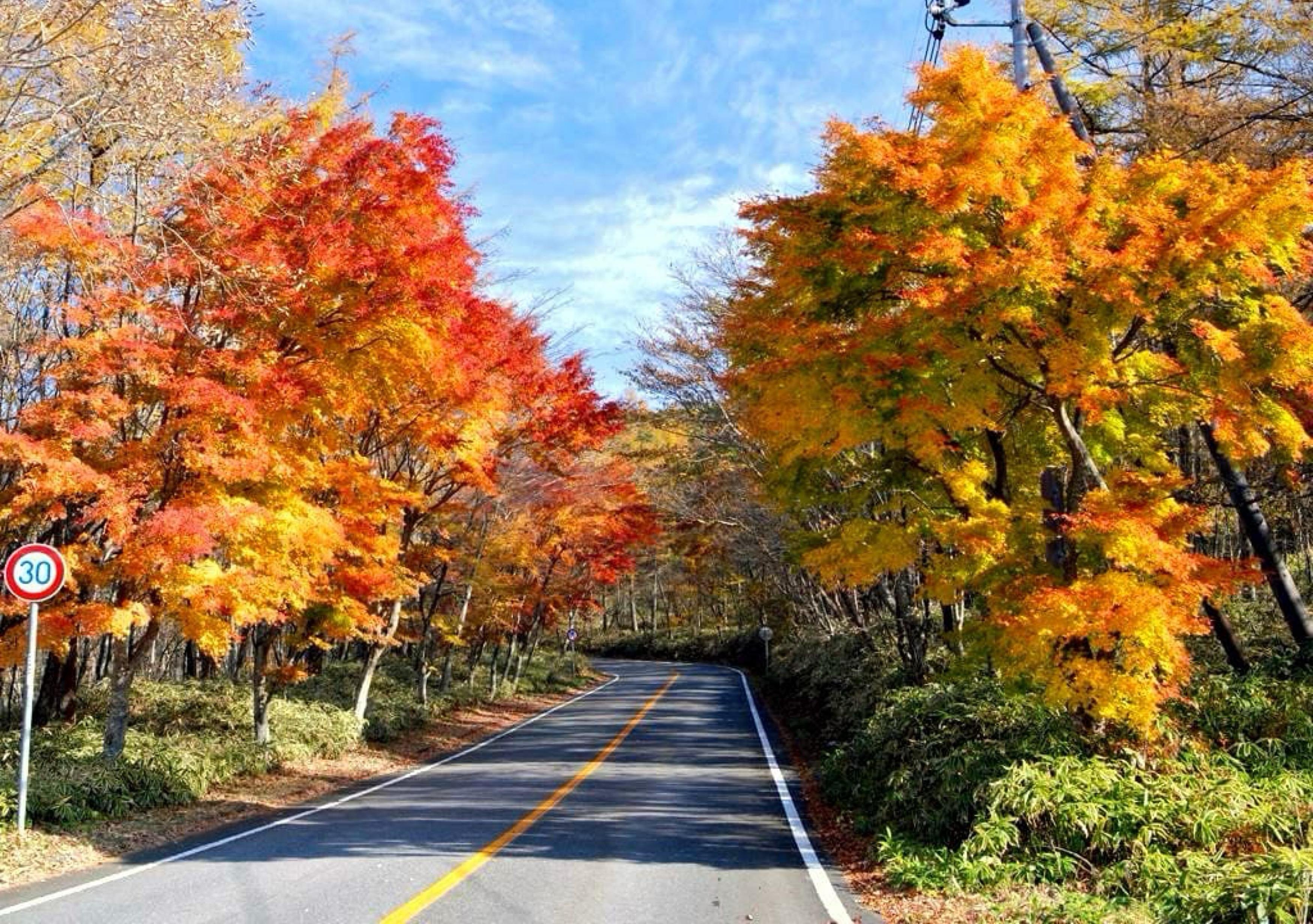 Nikko Photography Day Tour from Tokyo – Private & Customizable