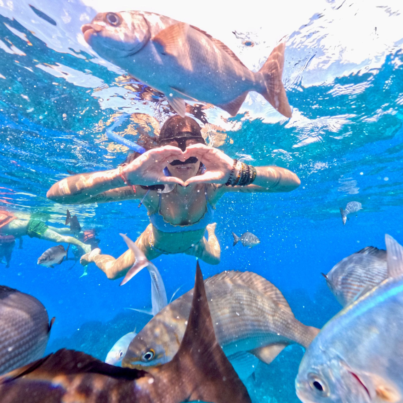 El Cielo Snorkeling Day Trip from Playa del Carmen