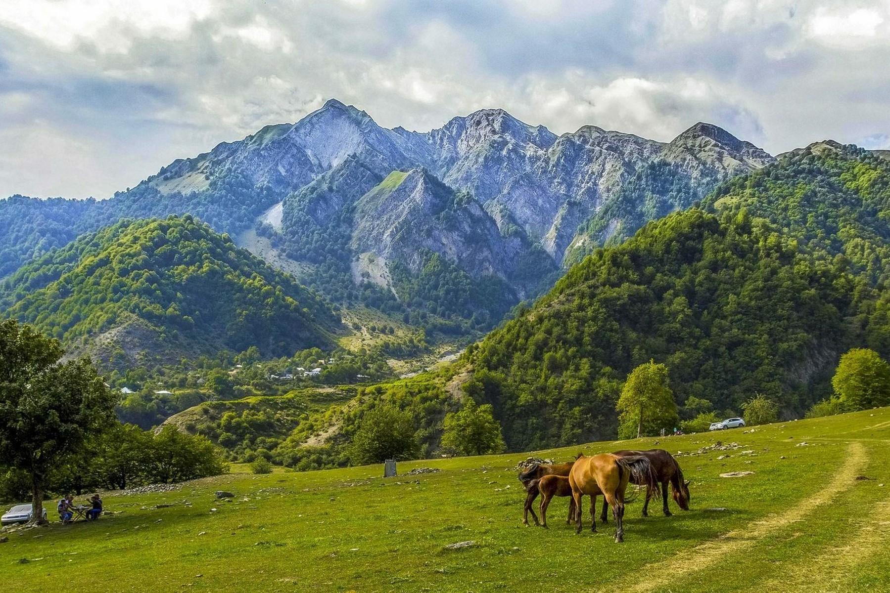 Gabala, Shamakhi & Ismayilli Full-Day Excursion from Baku