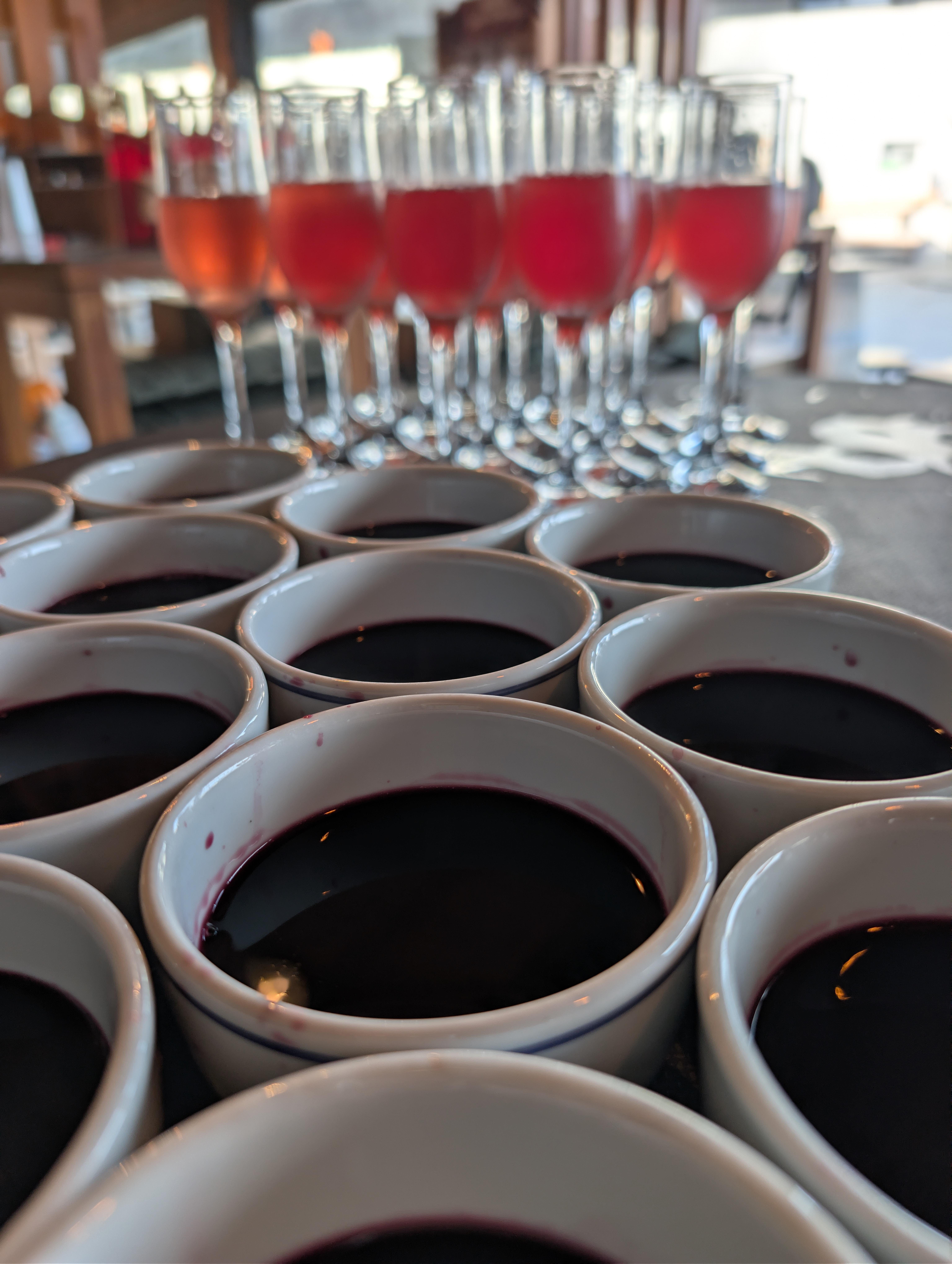Porto: Douro Valley & Vinho Verde Day Tour with Tastings, Lunch & Boat Cruise