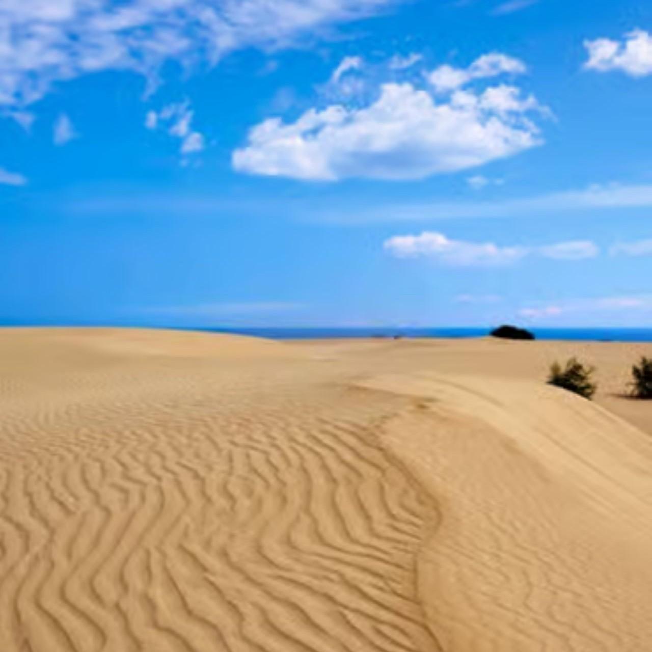 Northern Fuerteventura: El Cotillo, Vineyard & Dunes