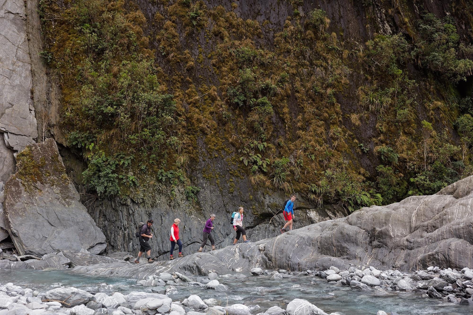 Franz Josef: Franz Josef Glacier Lookout Guided Walk