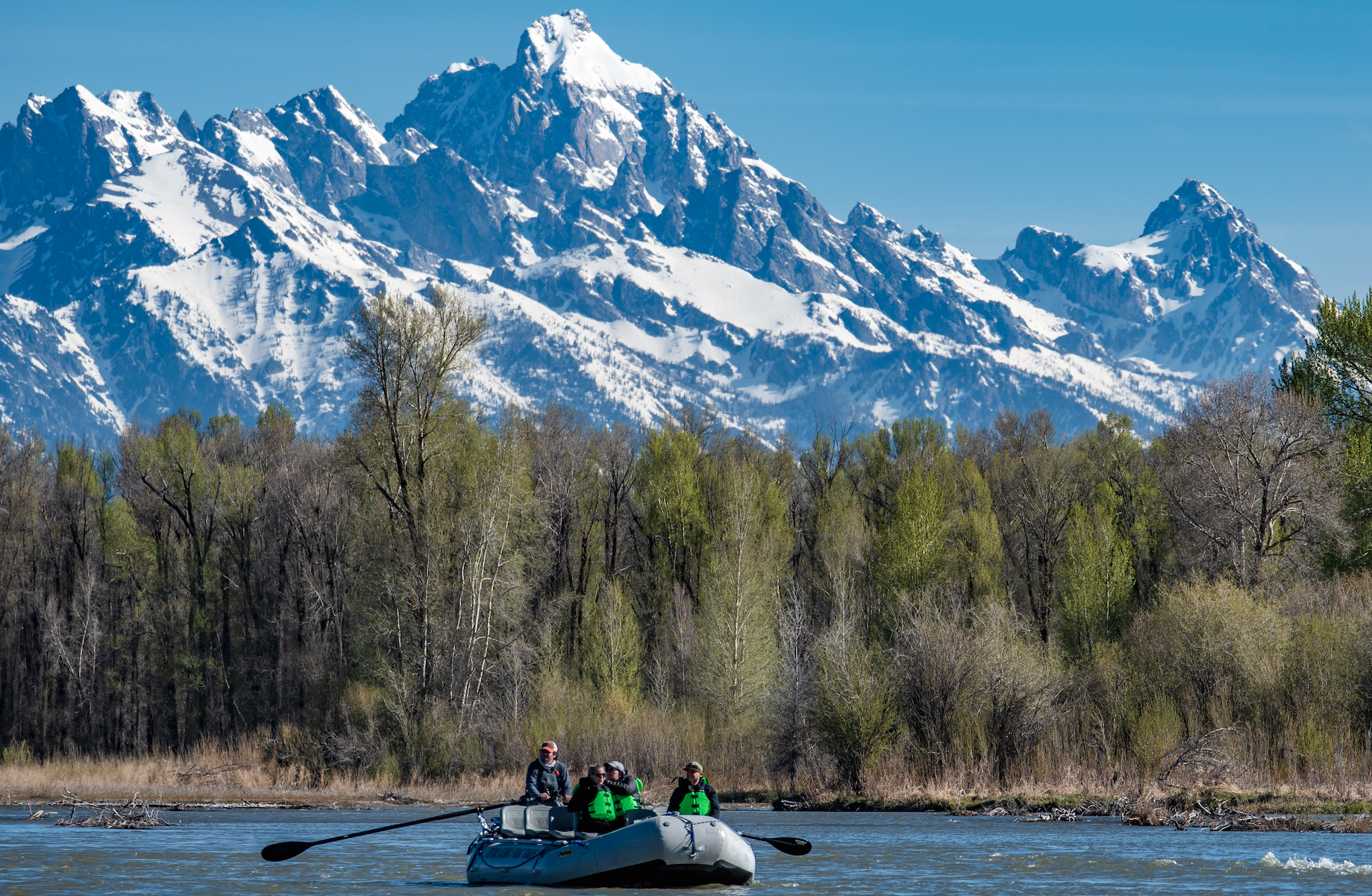 Snake River Scenic Wildlife Float Tour
