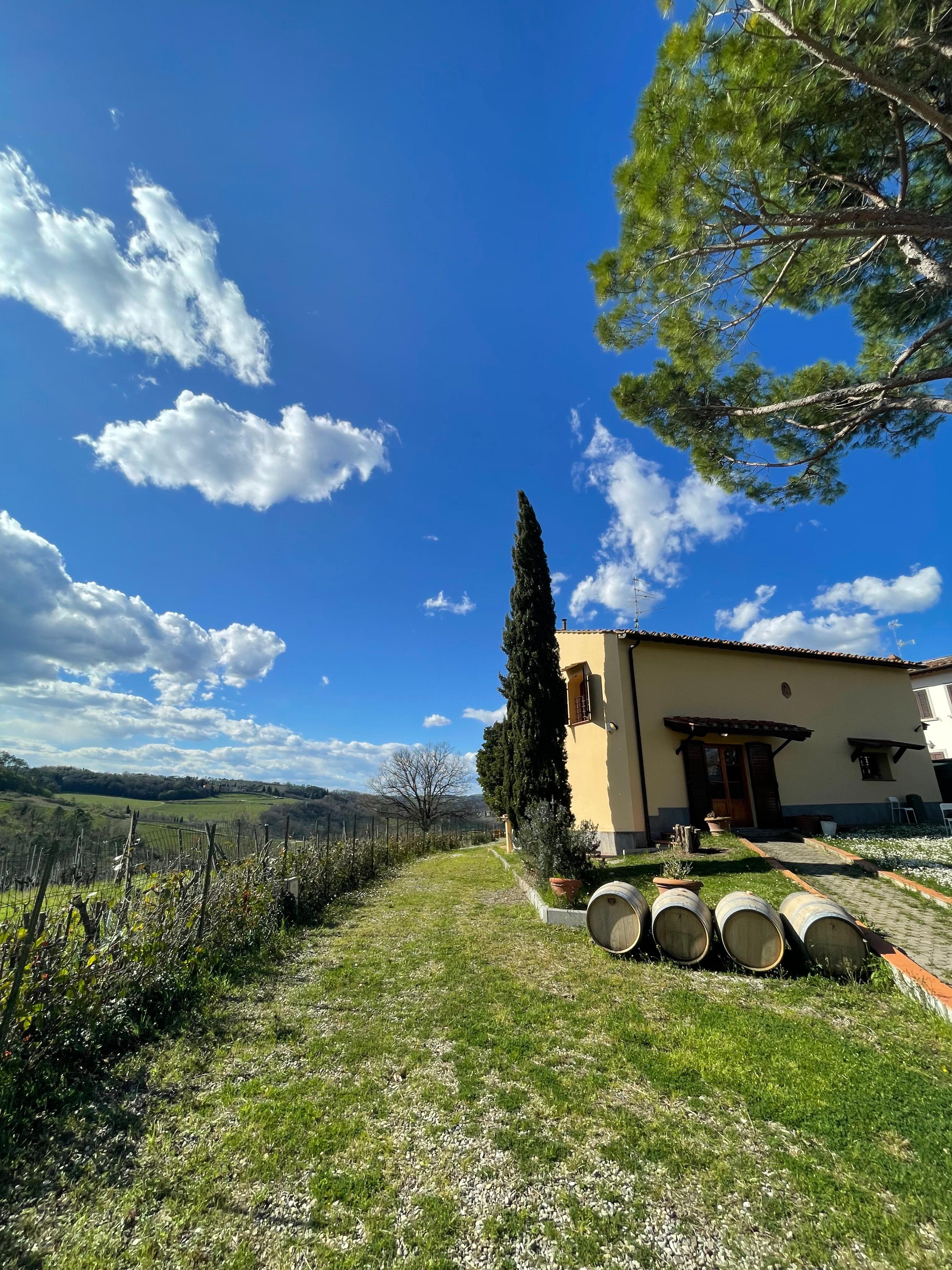 truffle hunting in Umbria — photo 6