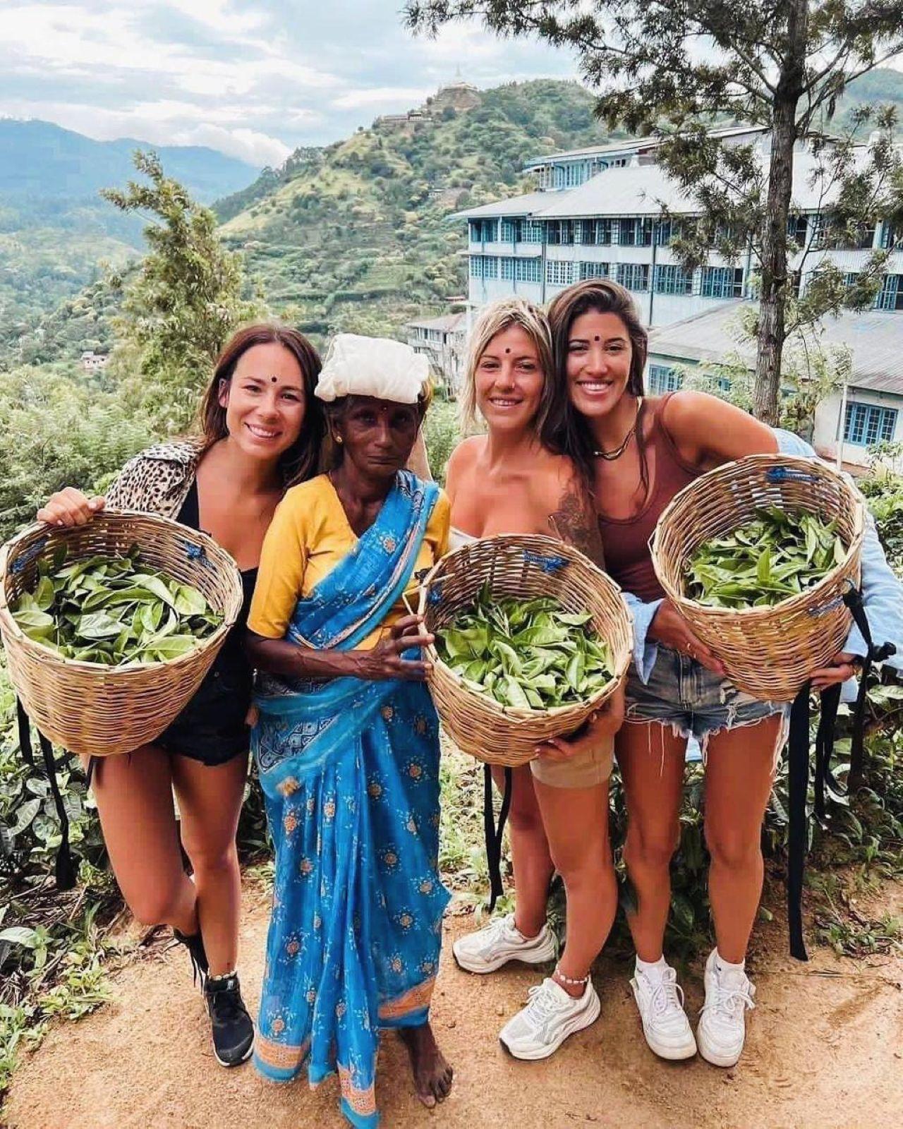 Kandy, Pinnawala & Tea Country Full-Day Excursion