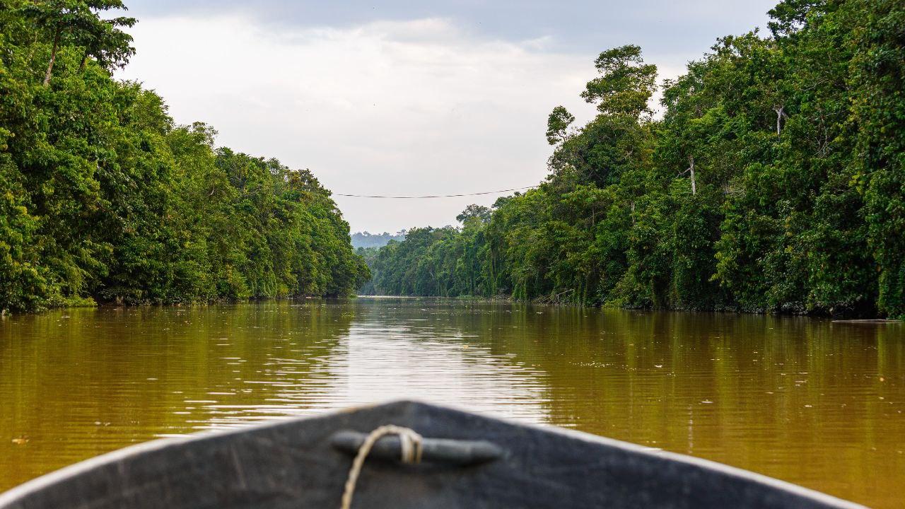 Kinabatangan River Wildlife Adventure