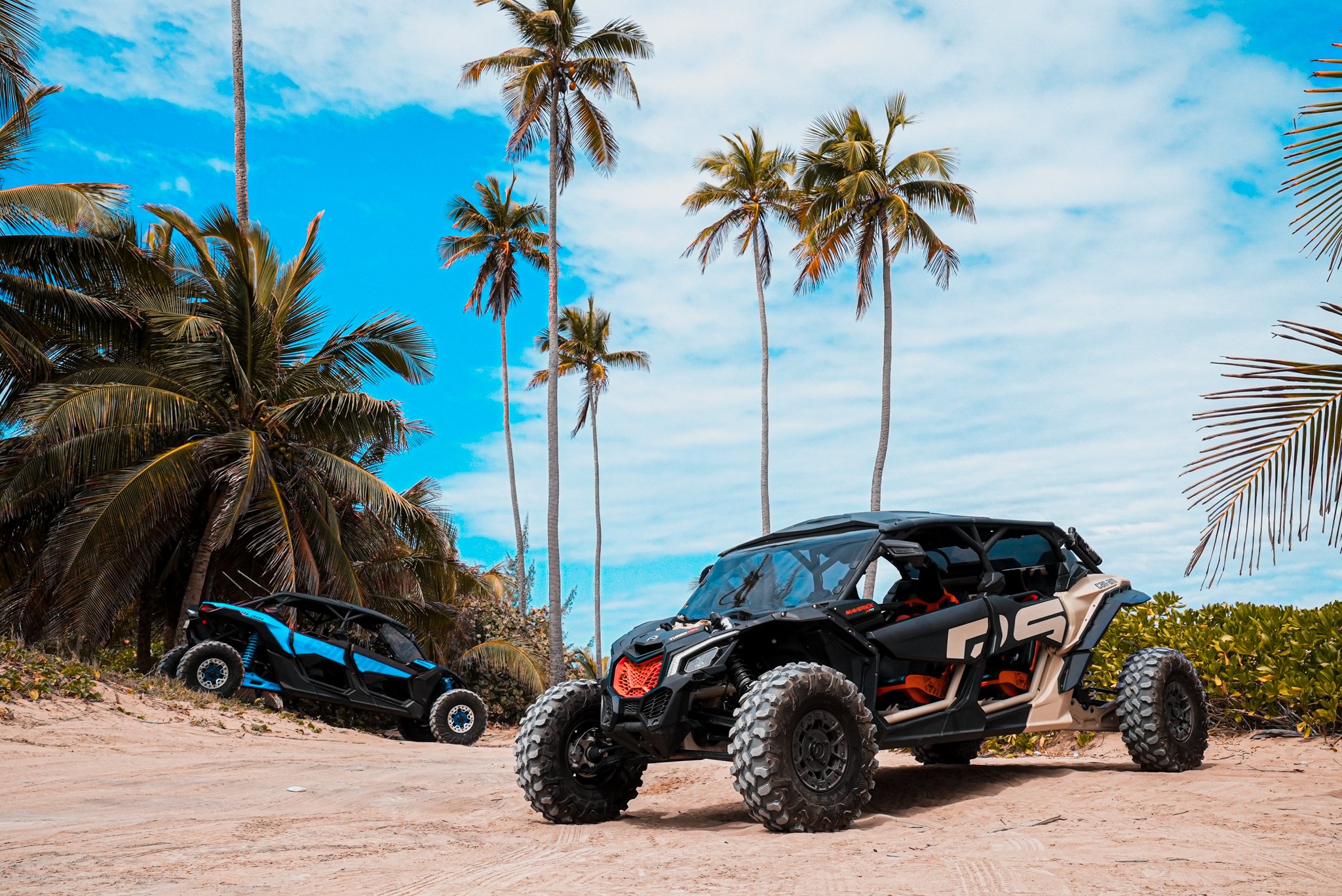 Private San Juan Can-Am UTV Adventure