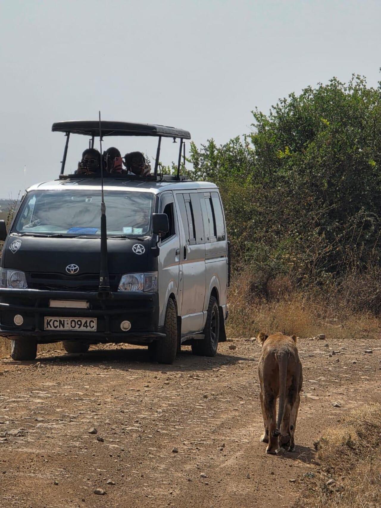 Nairobi National Park 5-Hour 4x4 Wildlife Safari