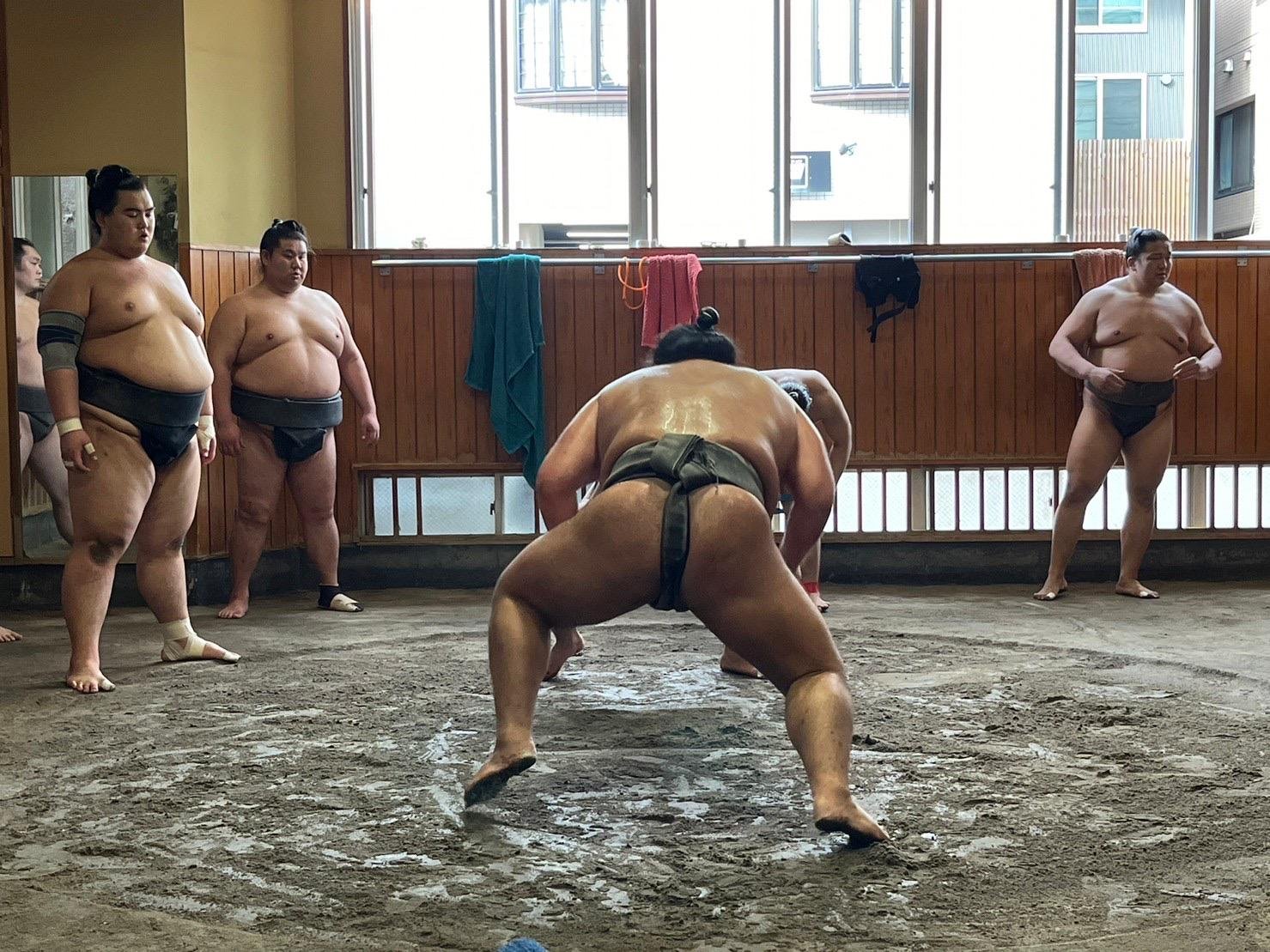 Tokyo: Visit Sumo Morning Practice with English Guide - 2026 (Verified Reviews)
