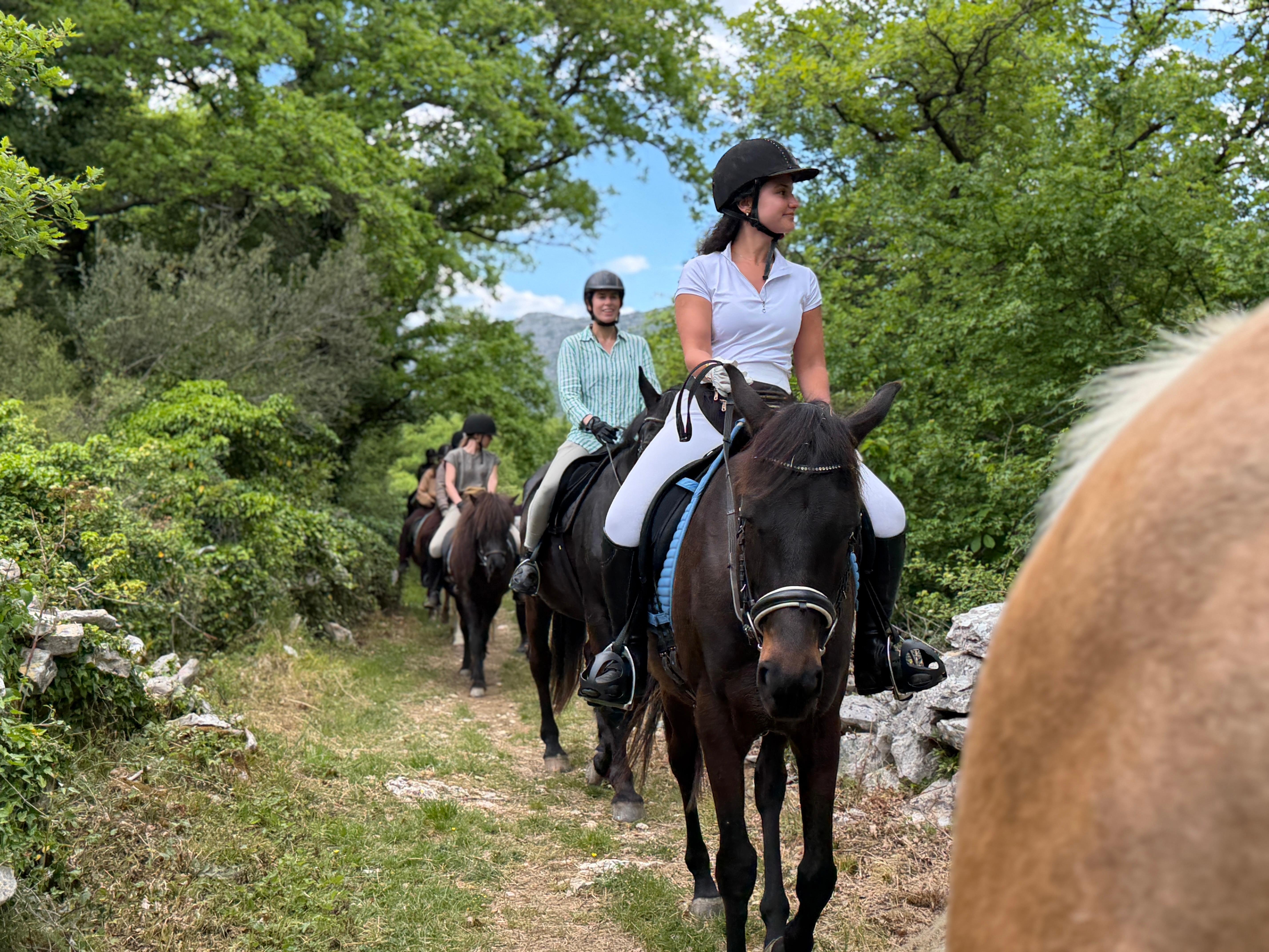 Konavle Valley Horseback Riding Experience