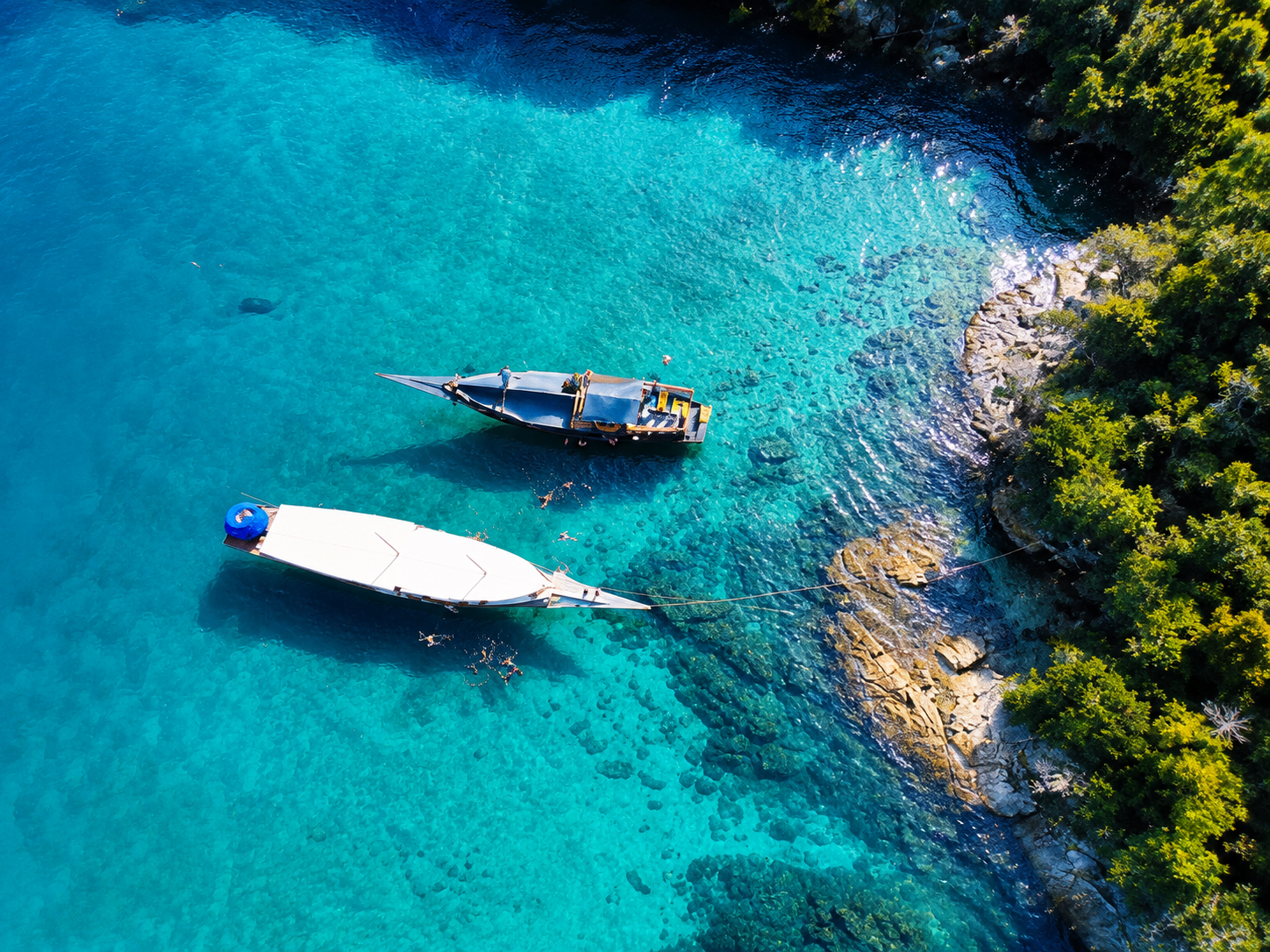 Ilha Grande & Blue Lagoon Boat Cruise from Rio