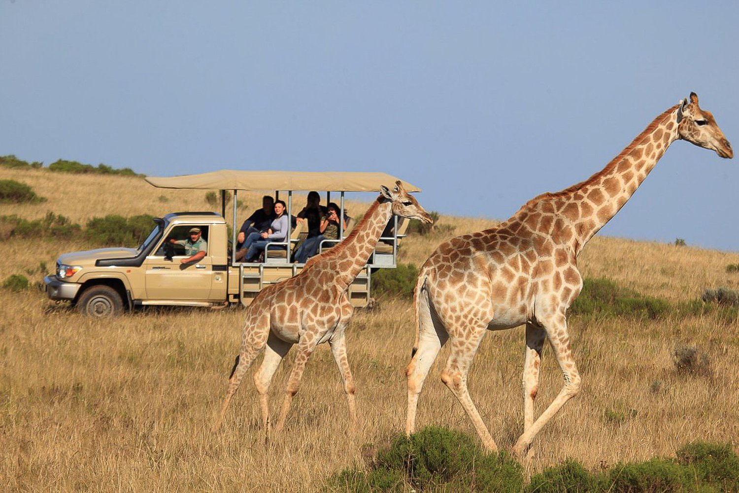 Cape Town to Garden Route: 3-Day Highlights & 4x4 Safari
