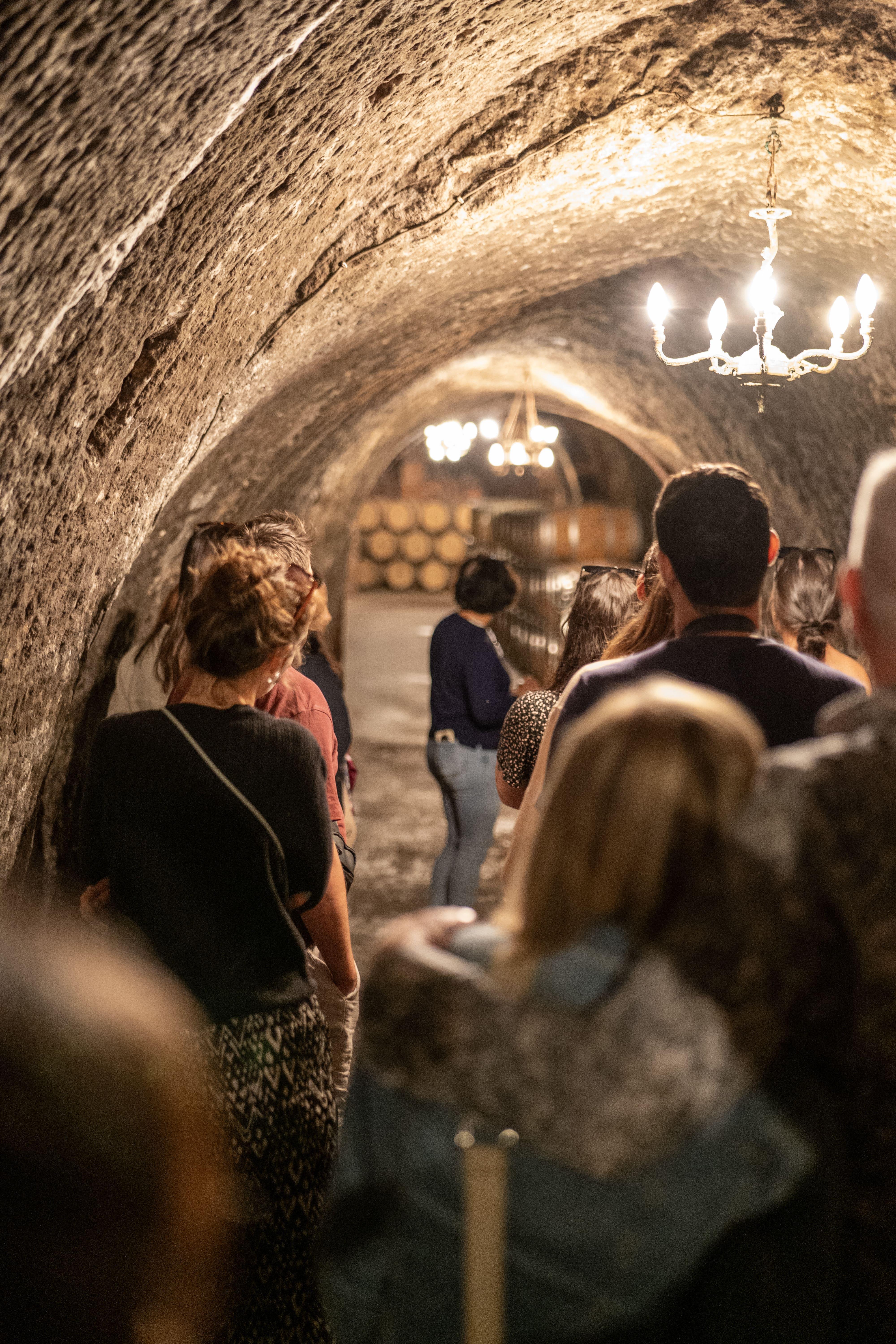 wine tour in Ribera del Duero — photo 3