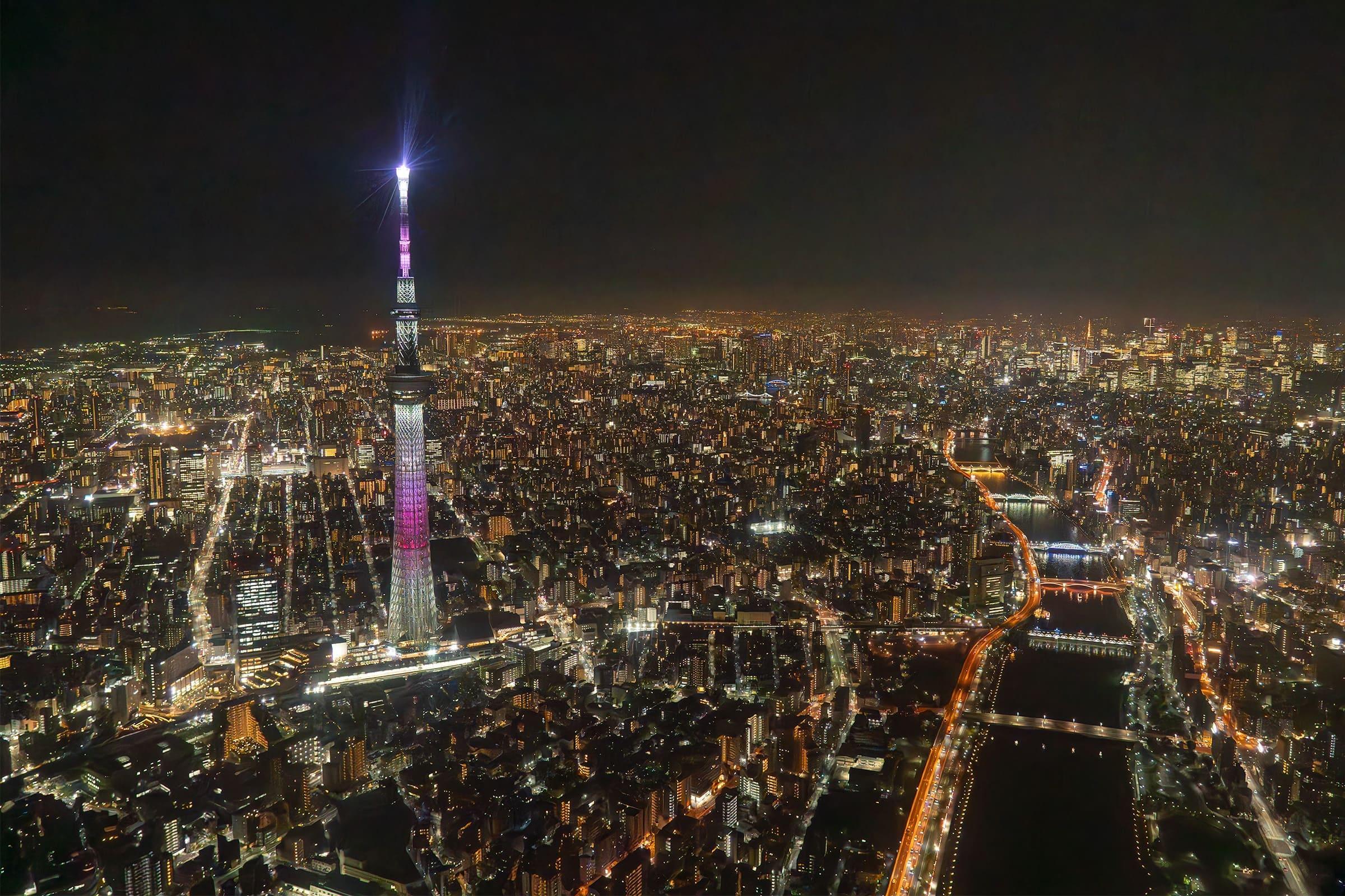 Tokyo helicopter tour view — image 4