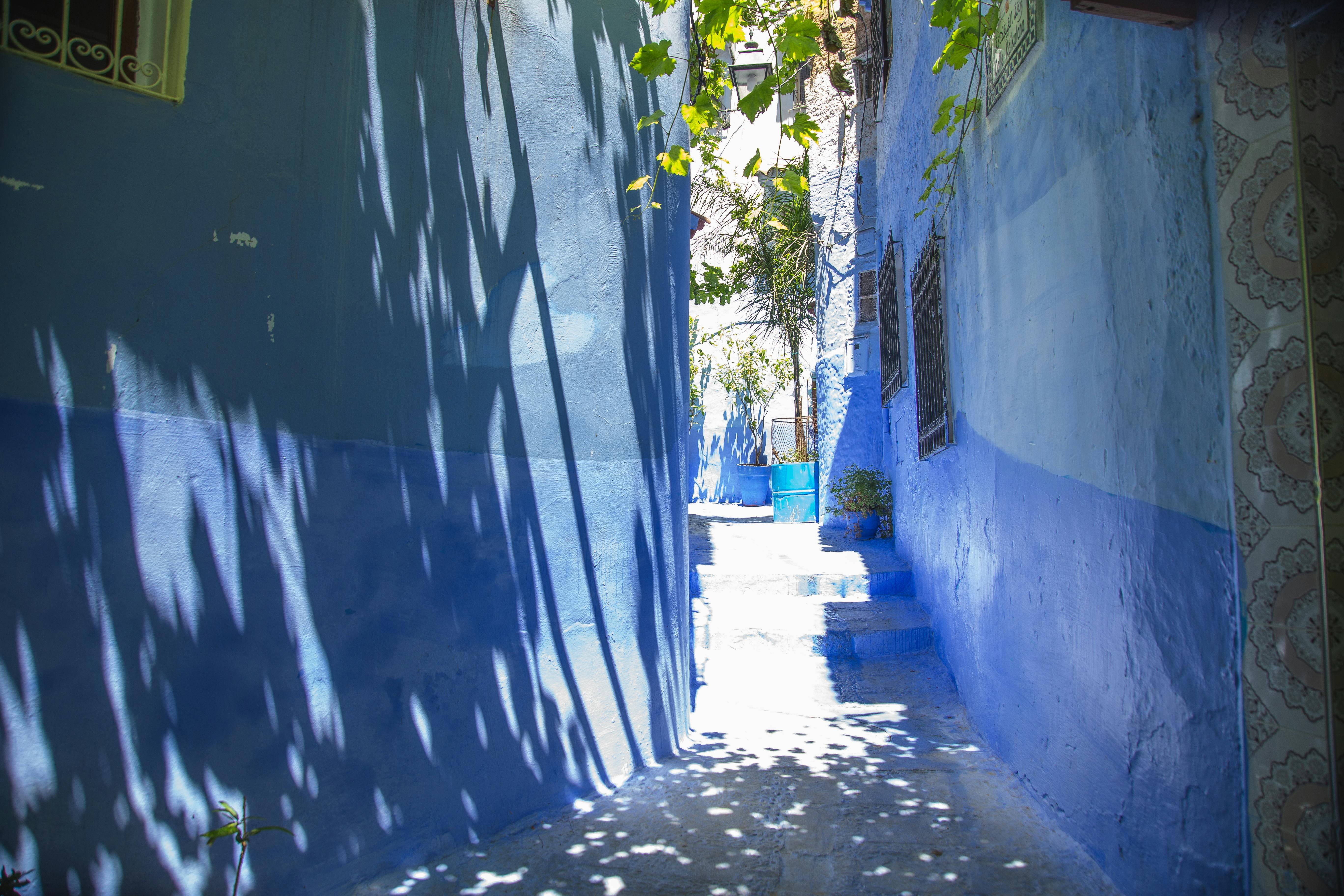 Private Chefchaouen Day Trip from Fes