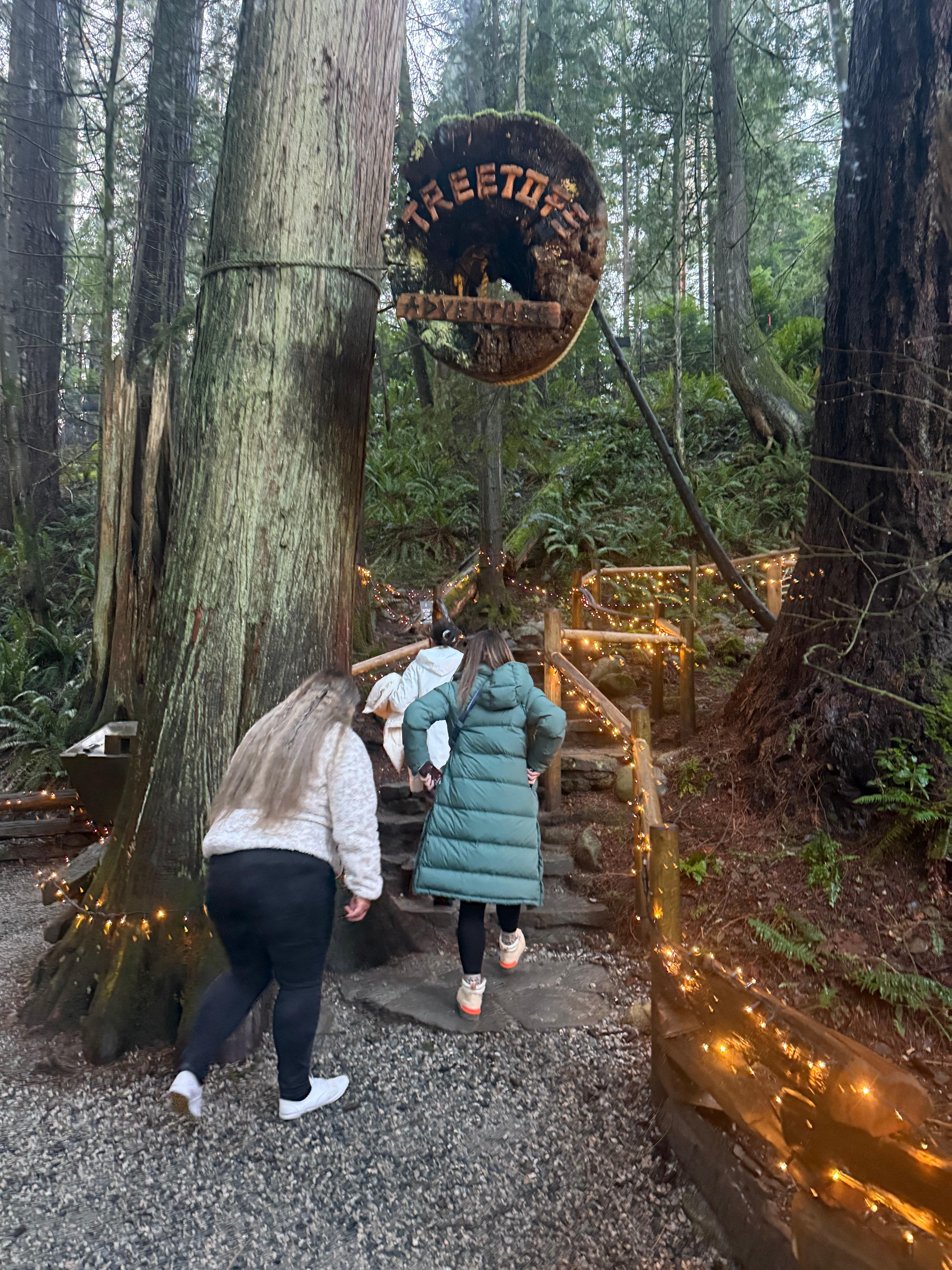 Capilano Suspension Bridge & Stanley Park Small Group Tour