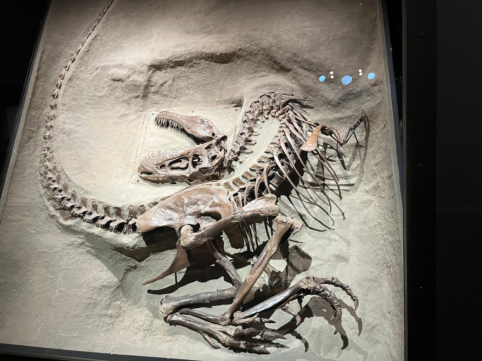 Calgary to Drumheller Badlands & Dinosaur Adventure