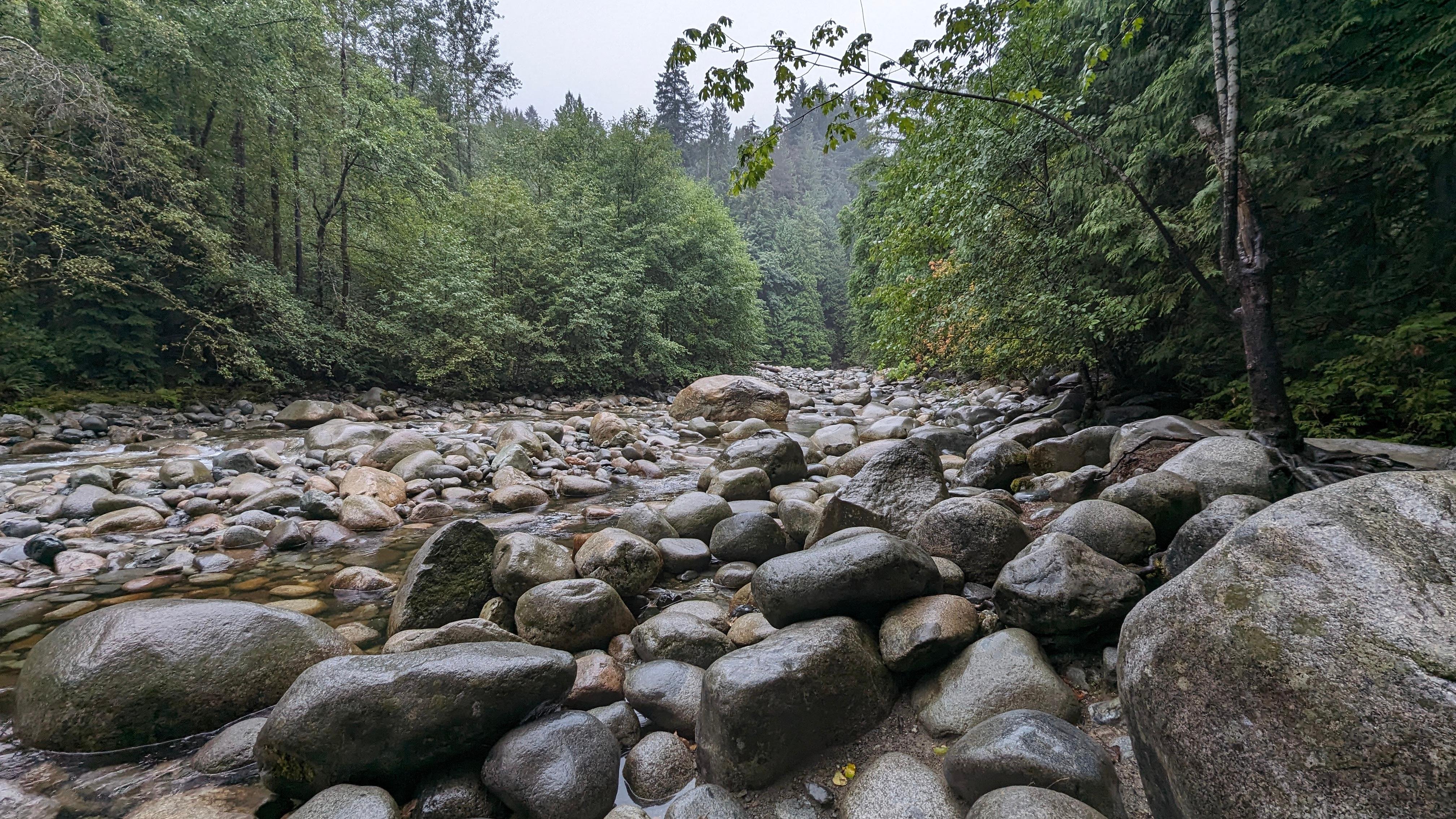 Capilano Canyon Halloween & Vancouver Twilight Private Tour