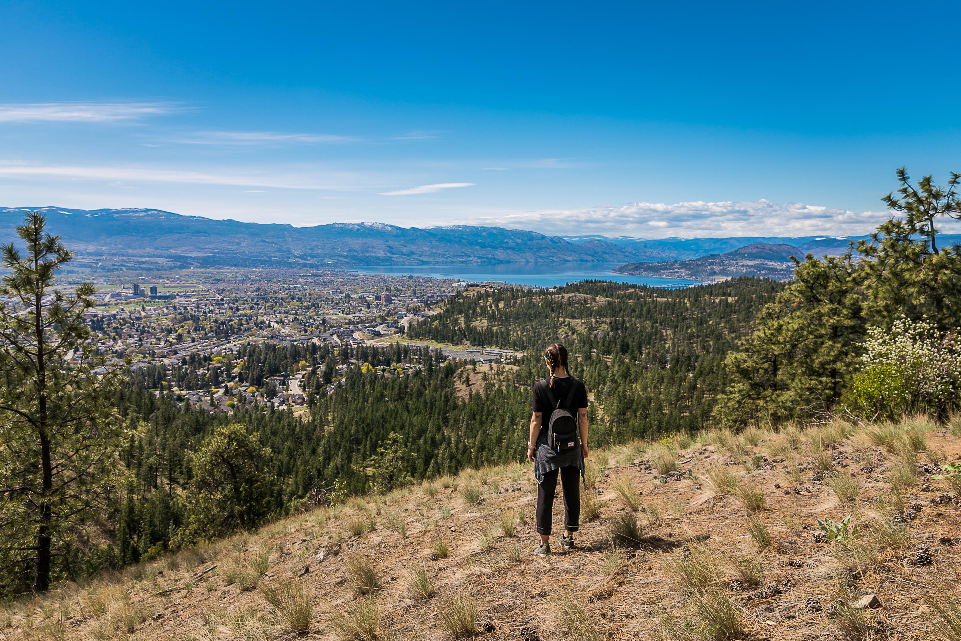 Knox Mountain Guided Hike & Okanagan Lake Views