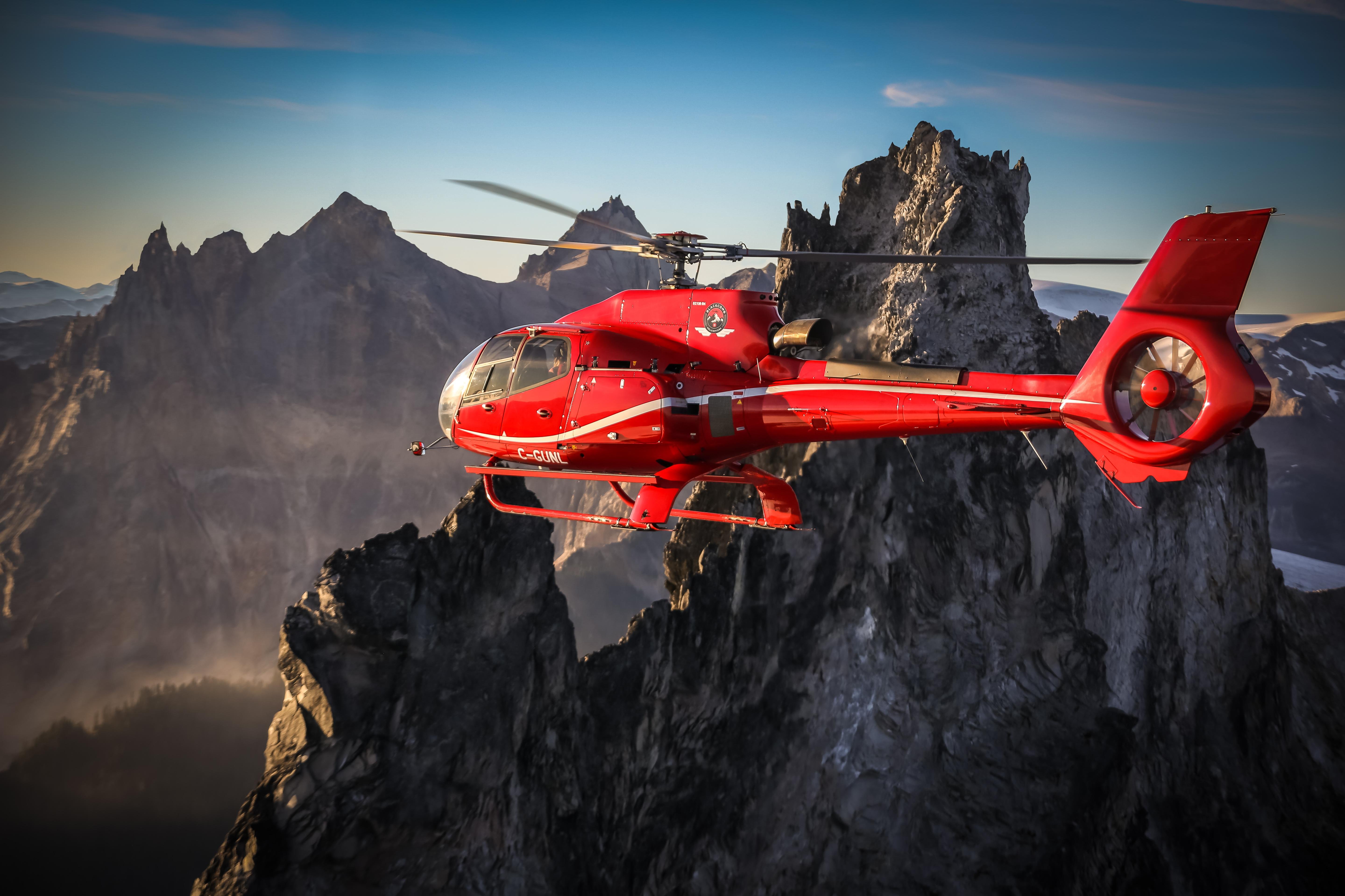 Whistler Helicopter Tour: Glaciers & Black Tusk