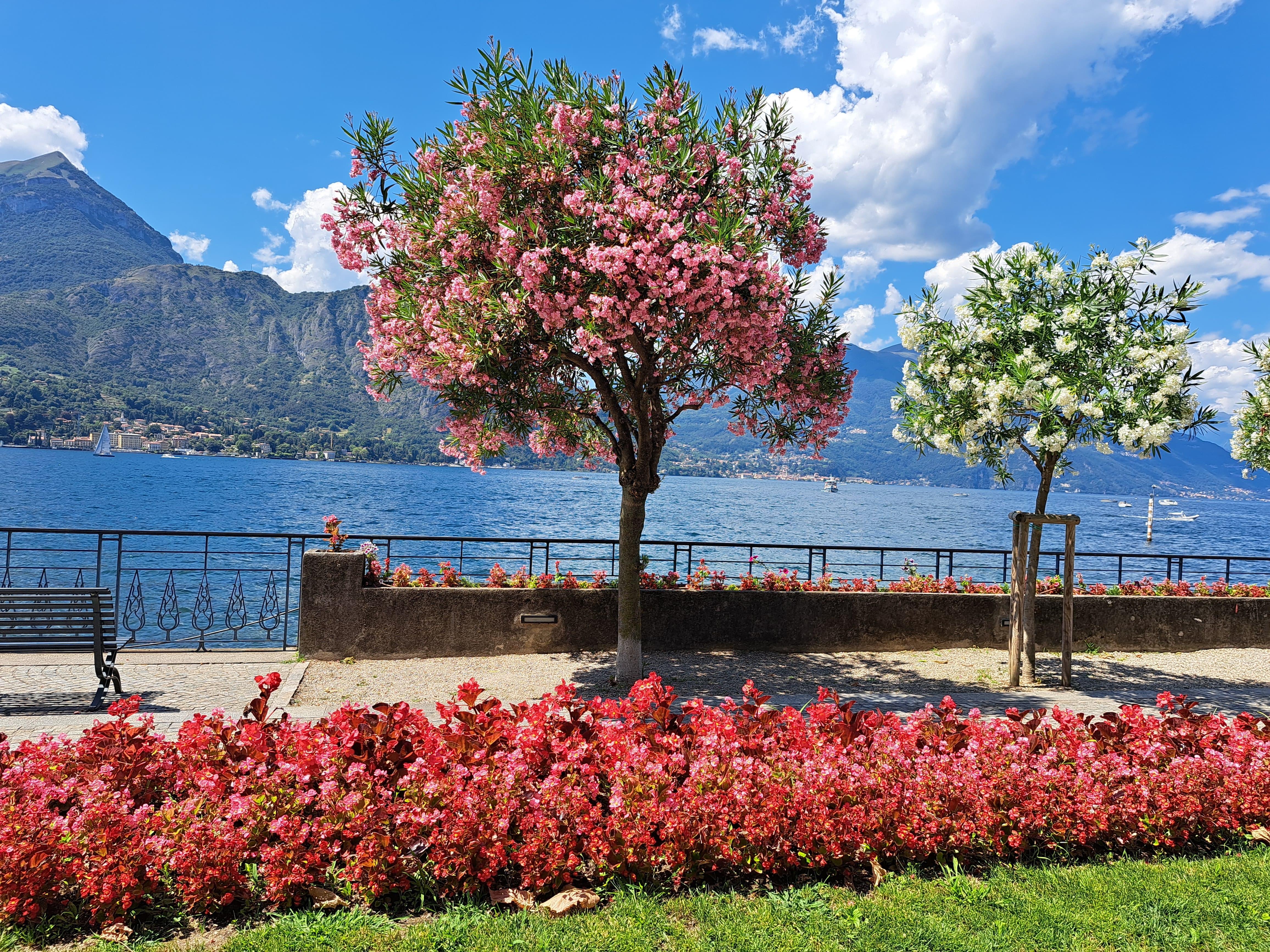 Milan to Lake Como: Bellagio & Como Cruise Day Trip