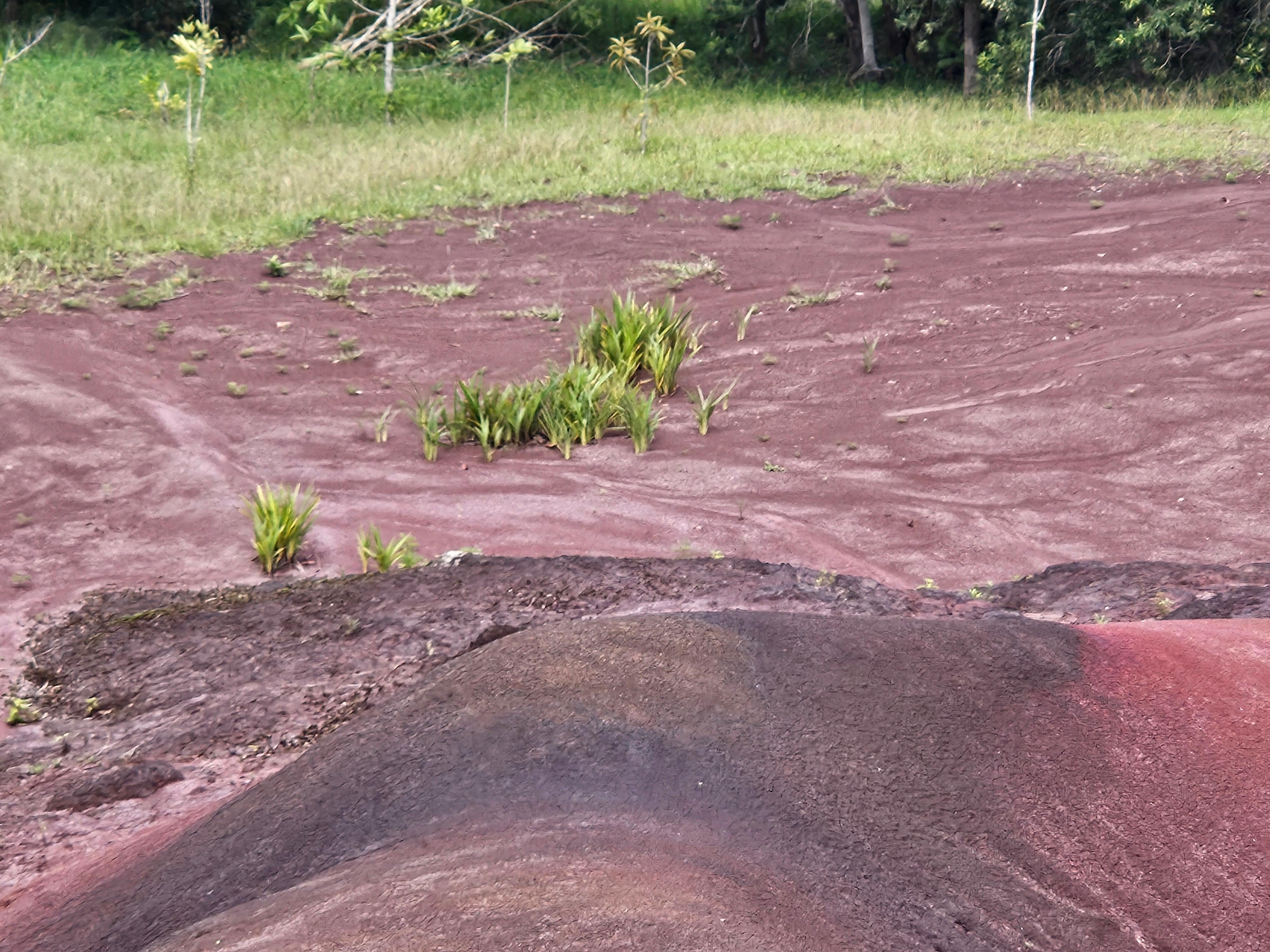 Private Southwest Mauritius: Chamarel & Nature Highlights