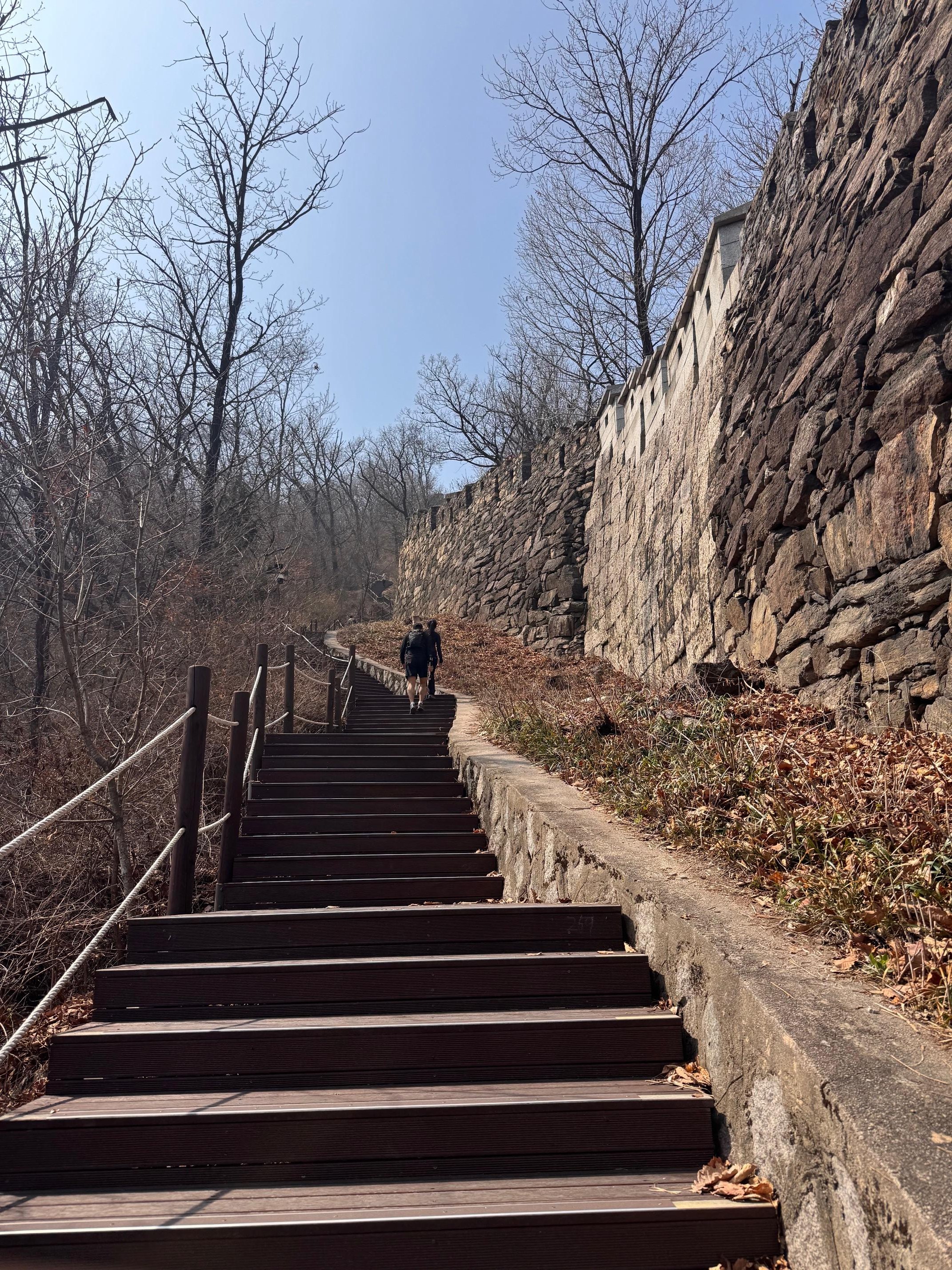 Namsan Mountain City Wall Hike & Namdaemun Noodle Lunch